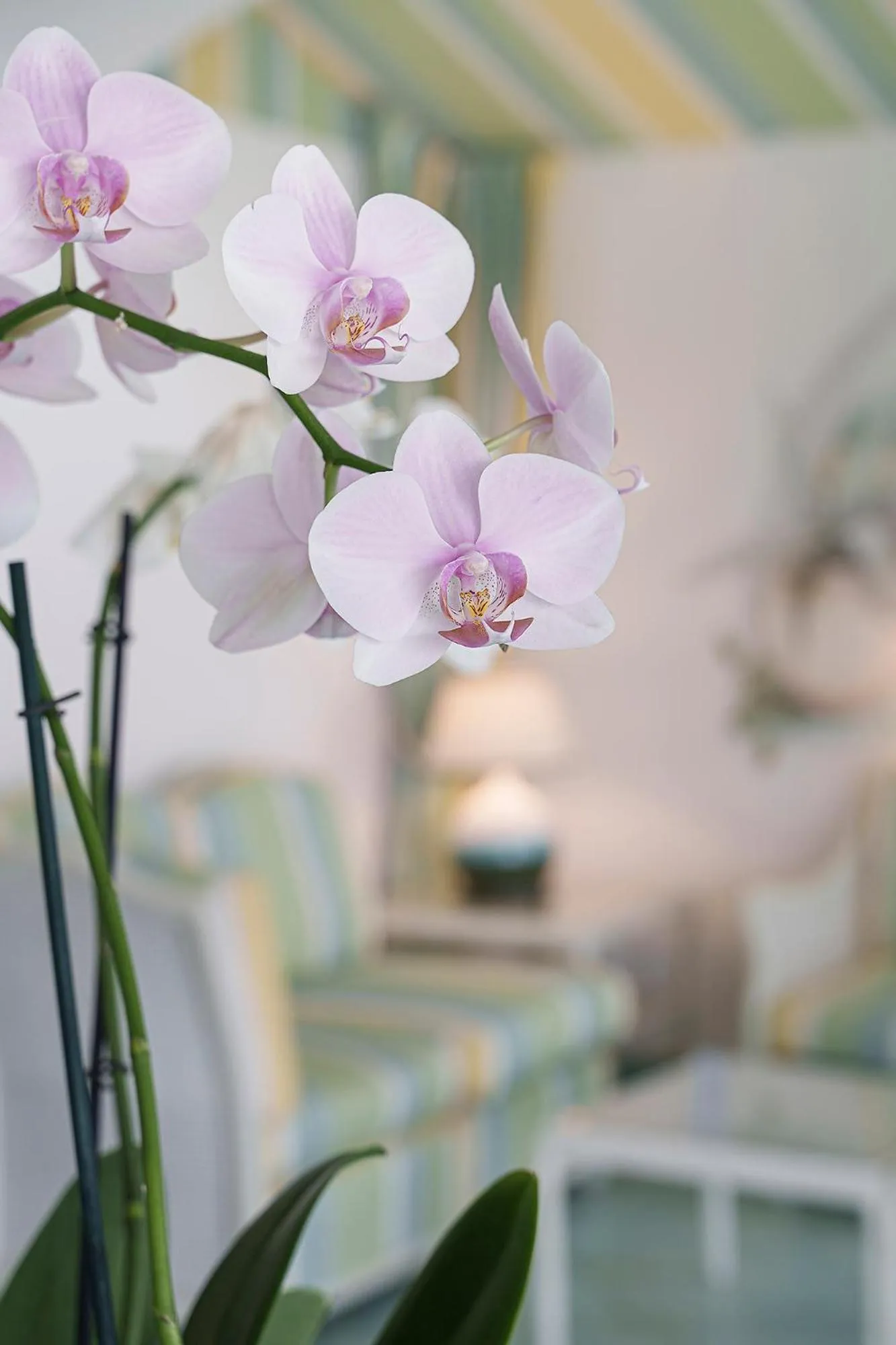 Hotel Floridiana Terme