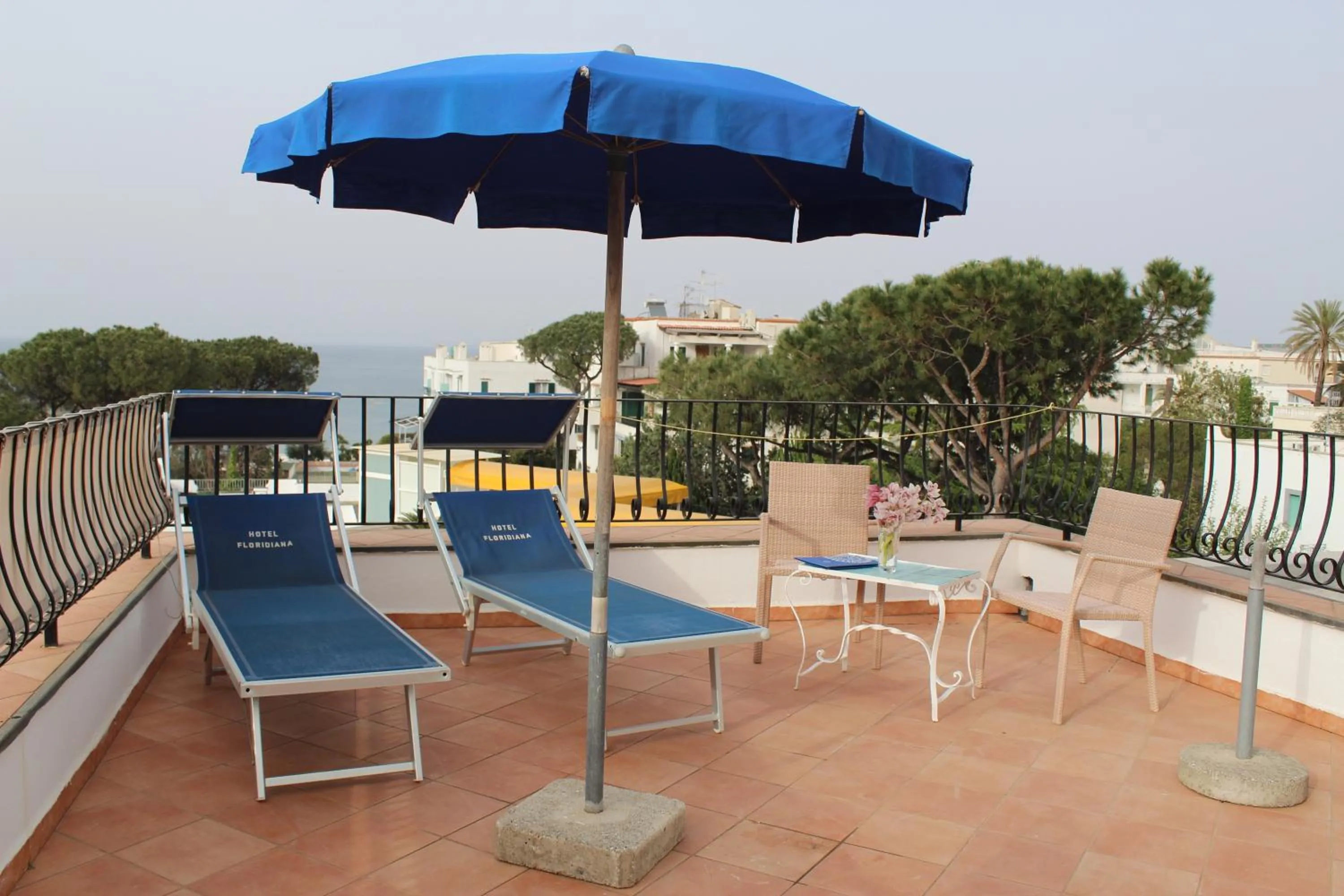 Balcony/Terrace in Hotel Floridiana Terme
