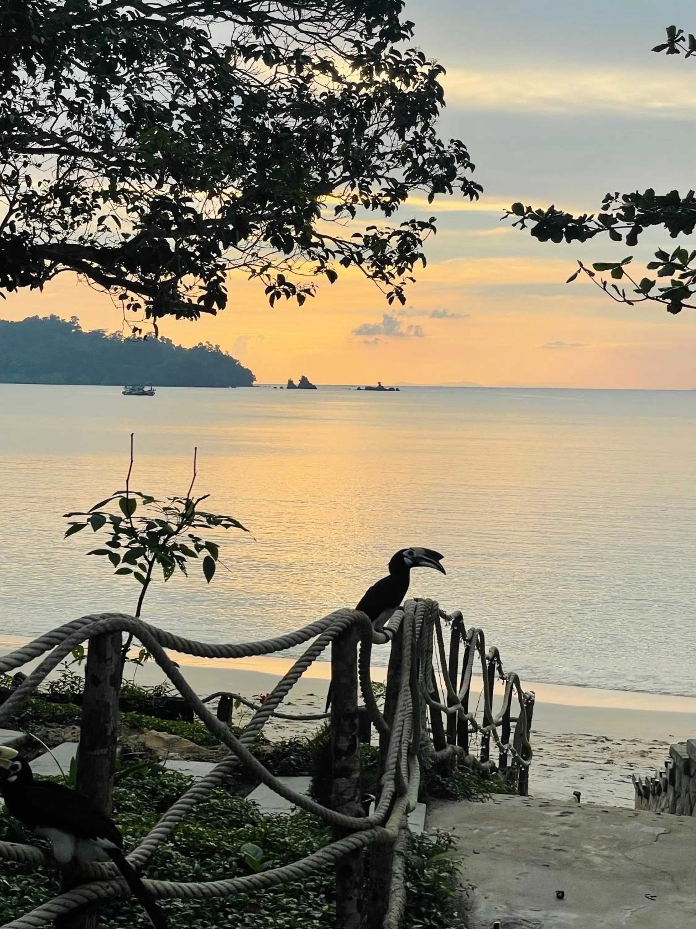 Marina Resort Koh Phayam Ranong