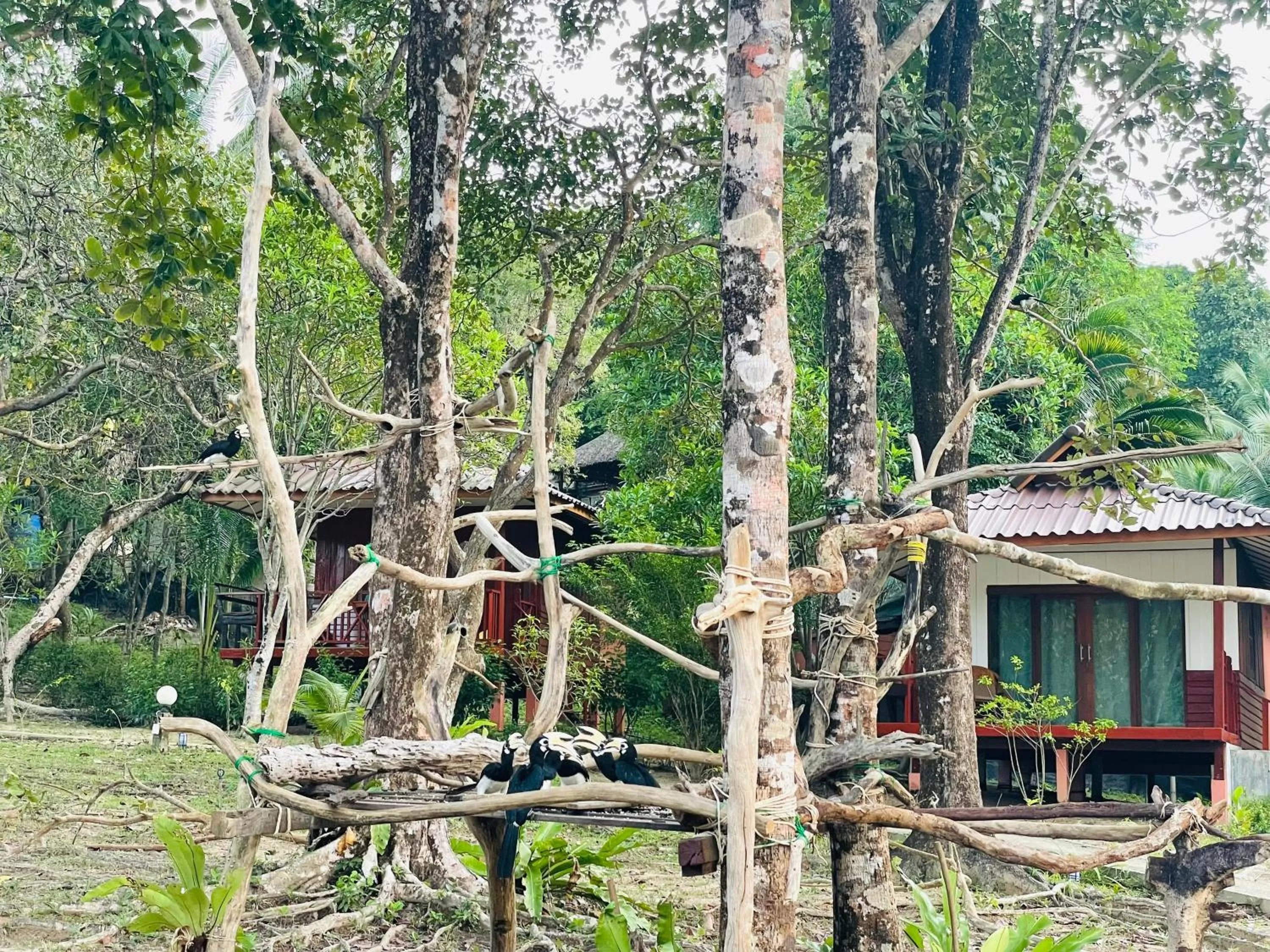 Marina Resort Koh Phayam Ranong