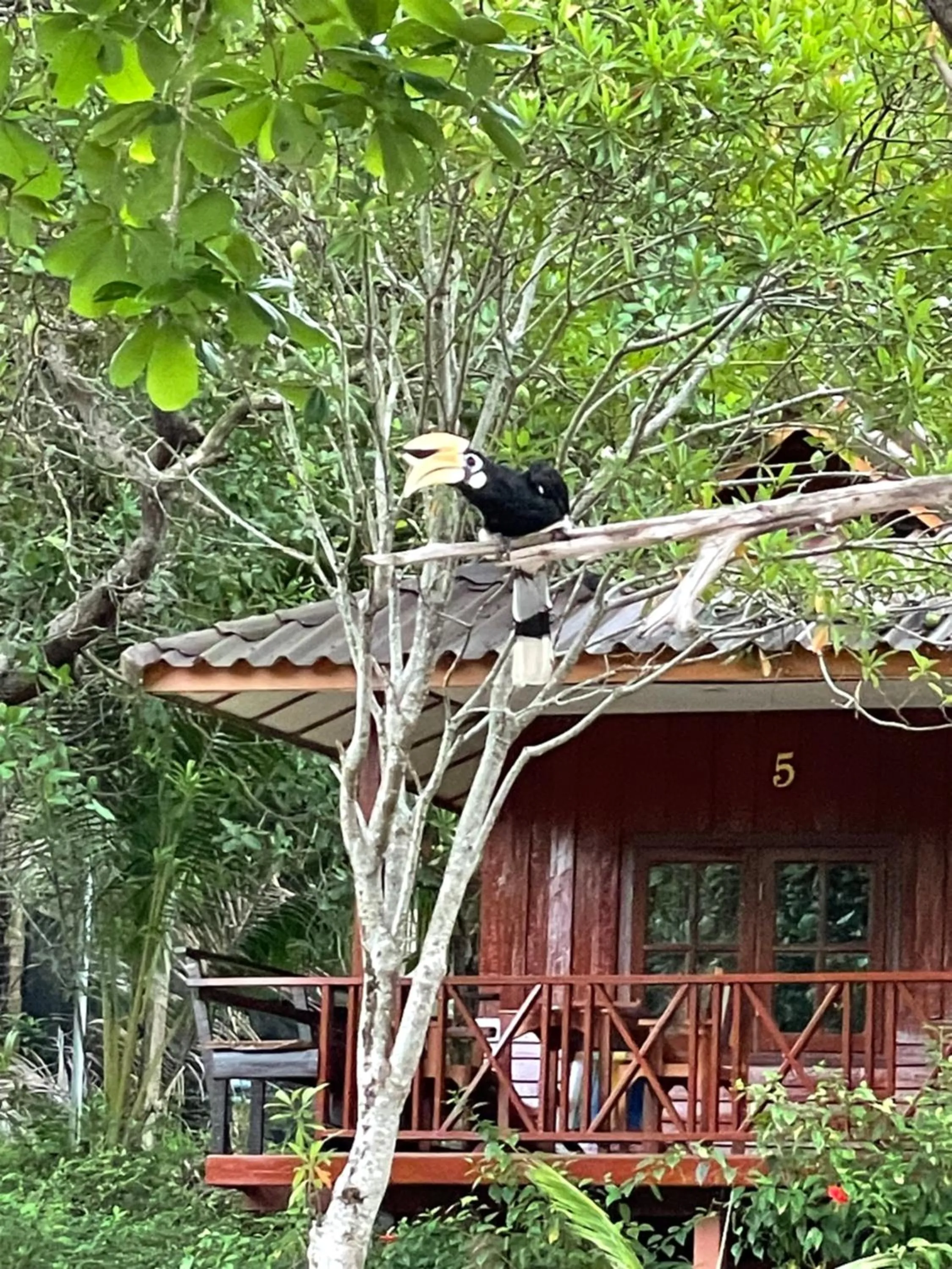 Marina Resort Koh Phayam Ranong