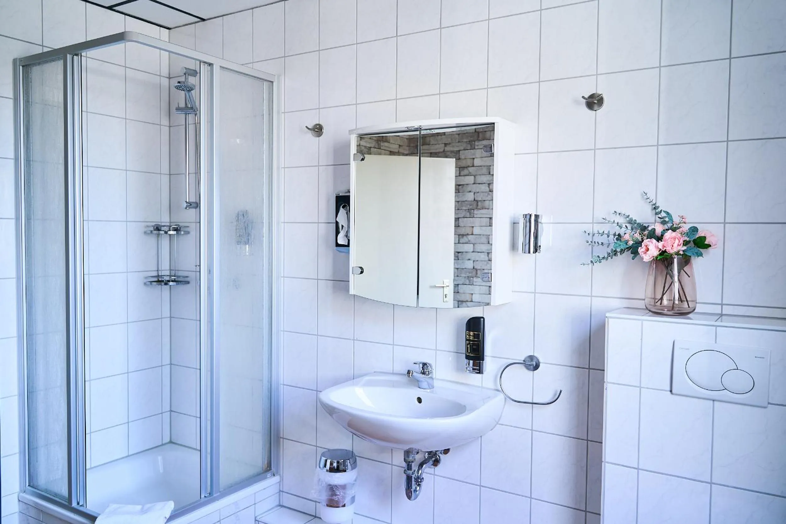 Shower in Hotel Maximo