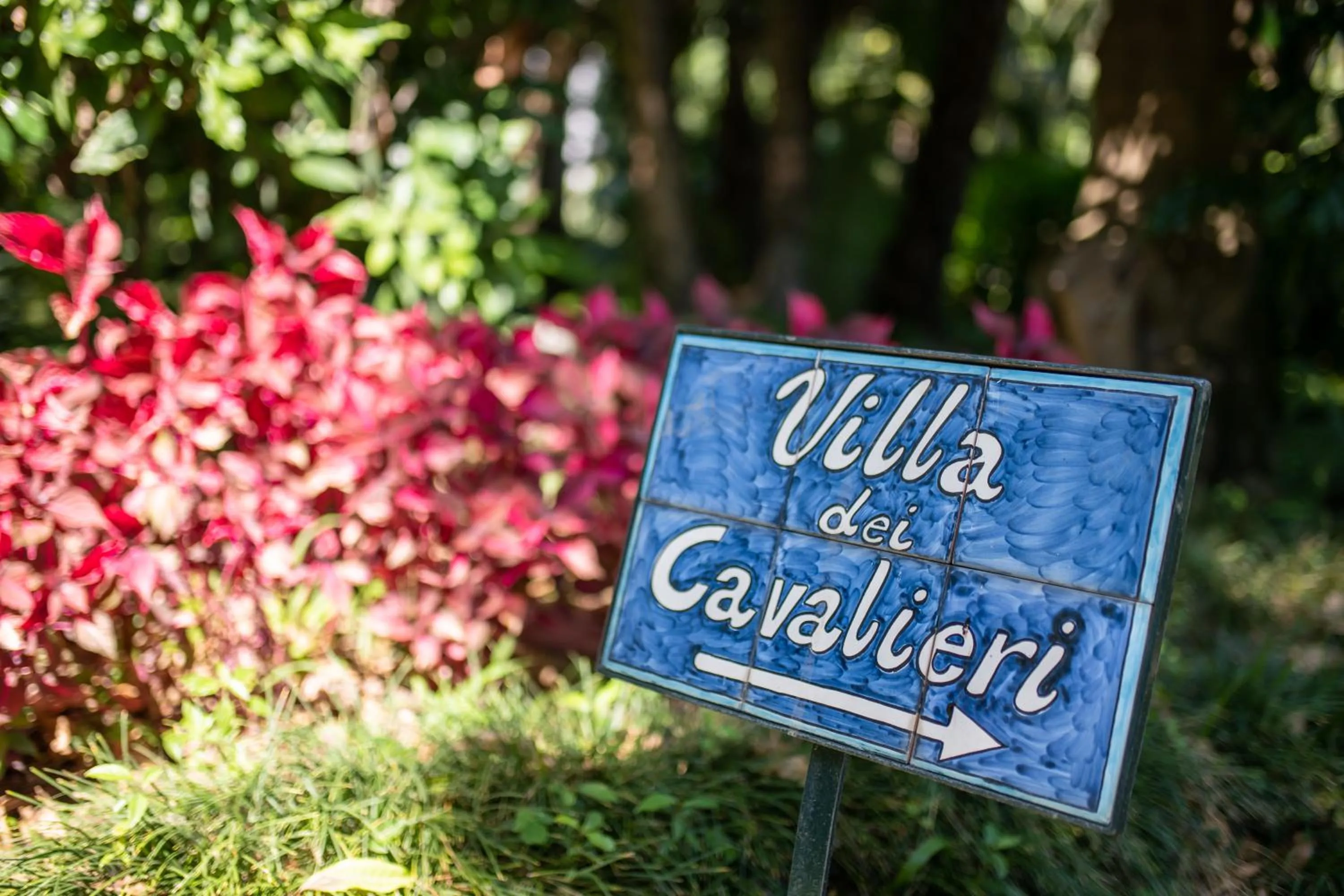 Natural landscape in Parco dei Principi