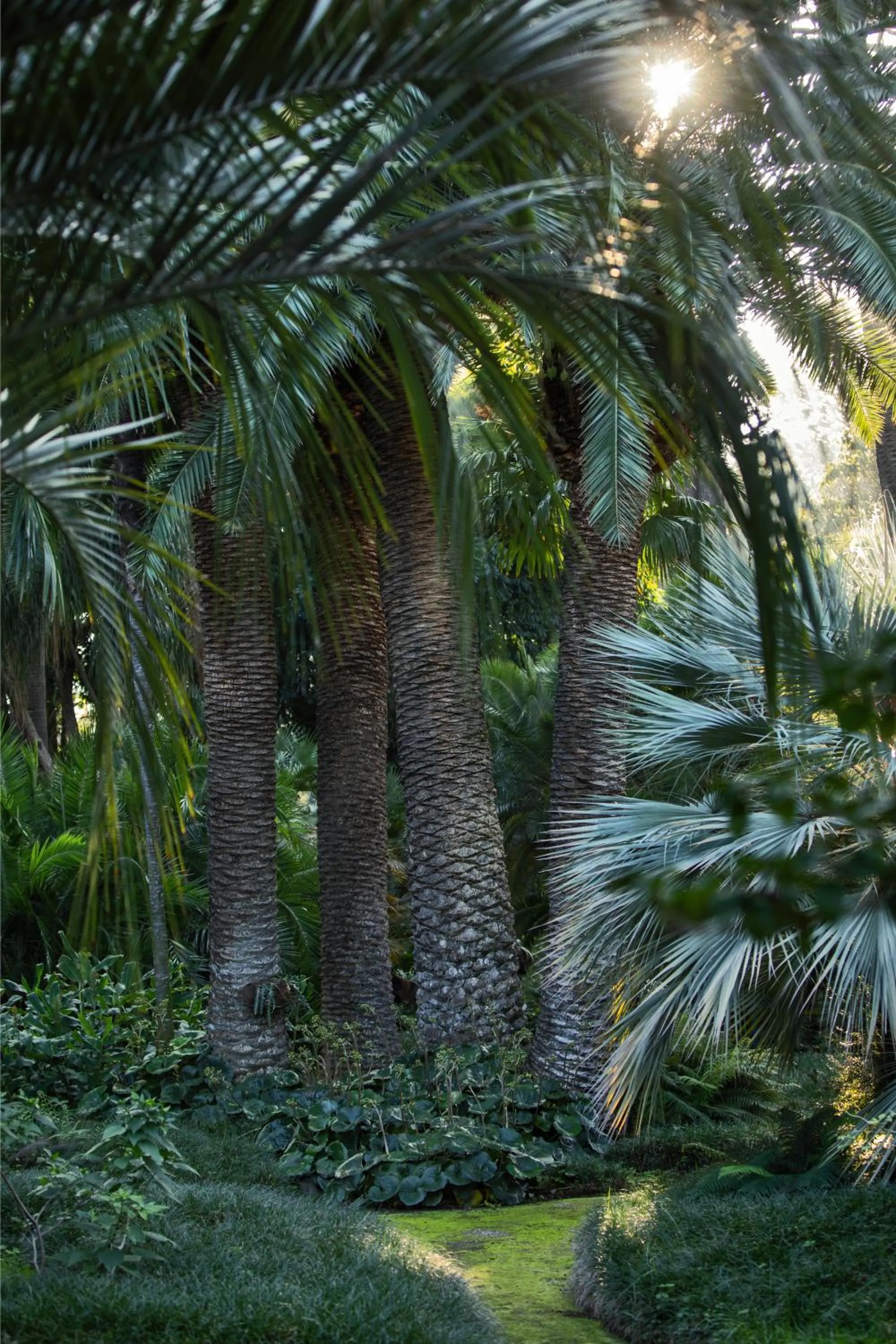 Spring in Parco dei Principi