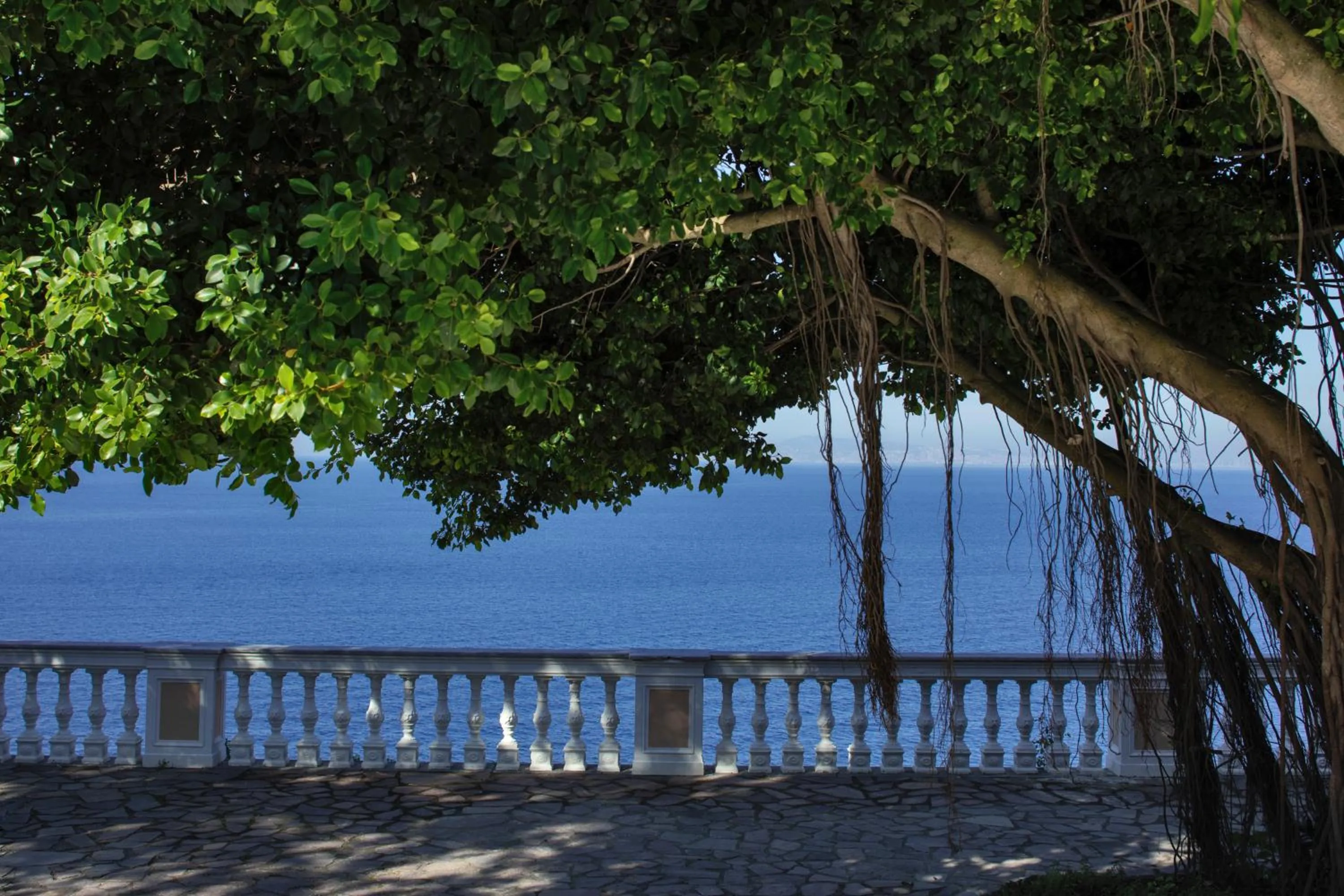 Natural landscape in Parco dei Principi