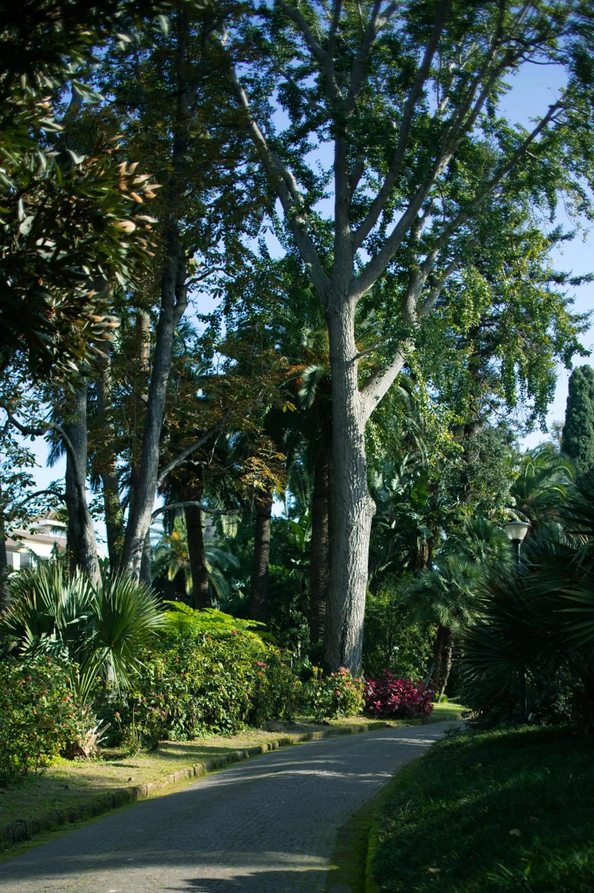 Garden in Parco dei Principi