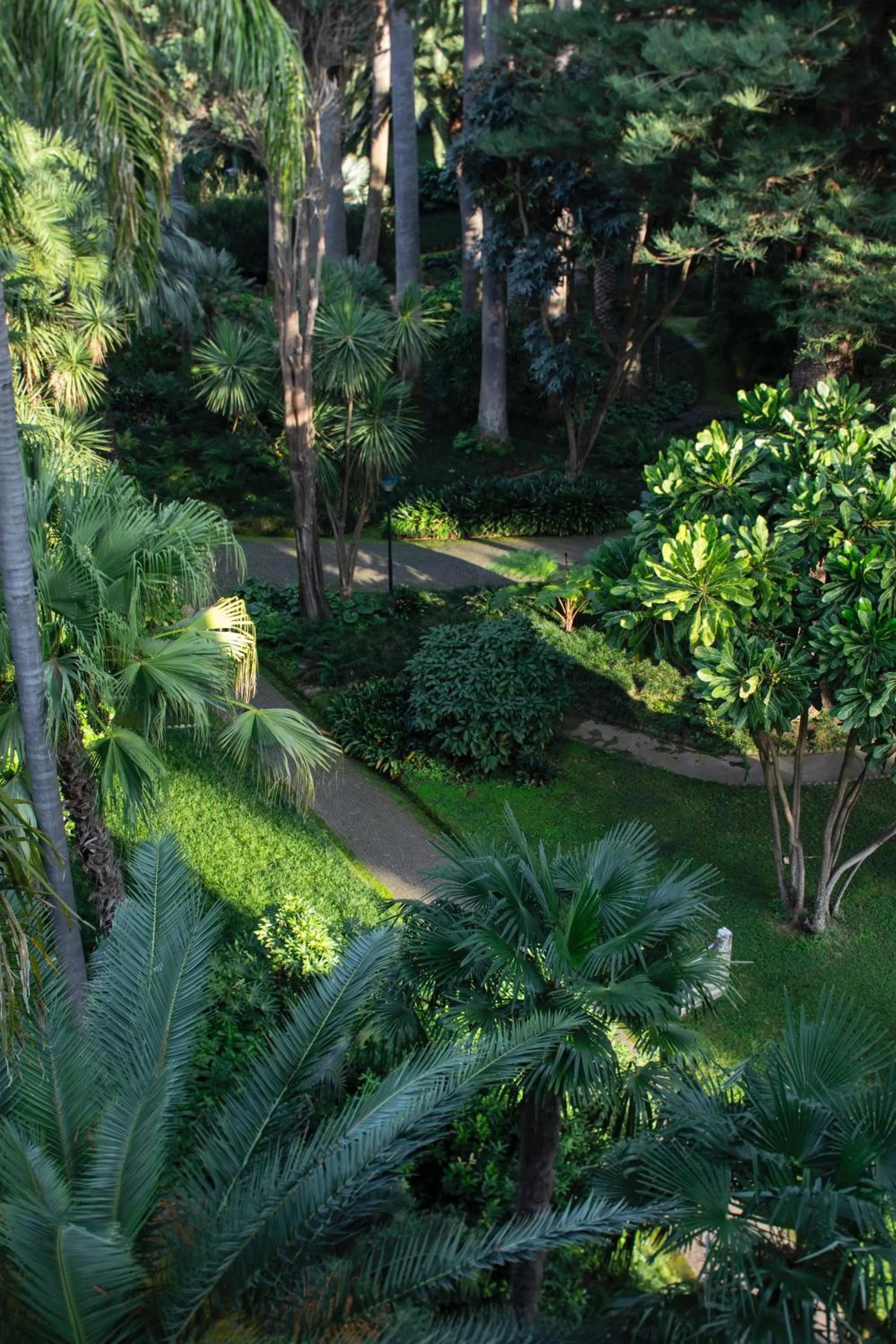 Natural landscape in Parco dei Principi