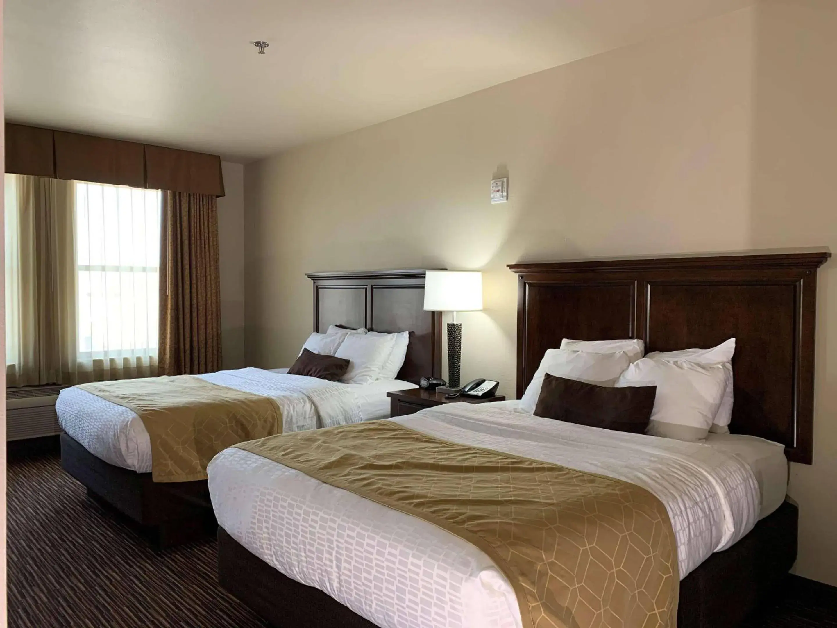 Bedroom, Bed in Radisson Hotel River Falls Bedroom, Bed in Radisson Hotel River Falls