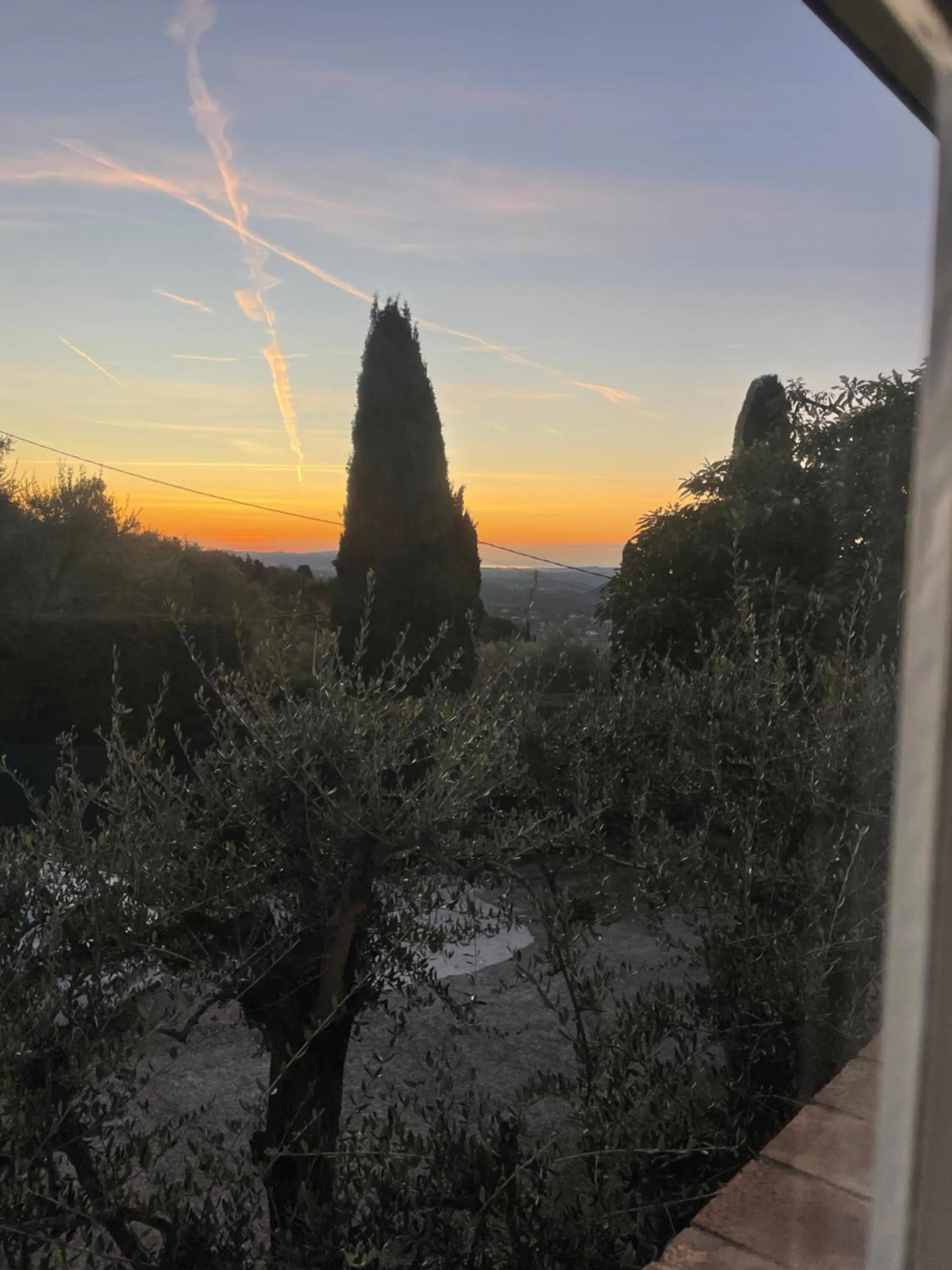 Photo of the whole room in Villa Daphné