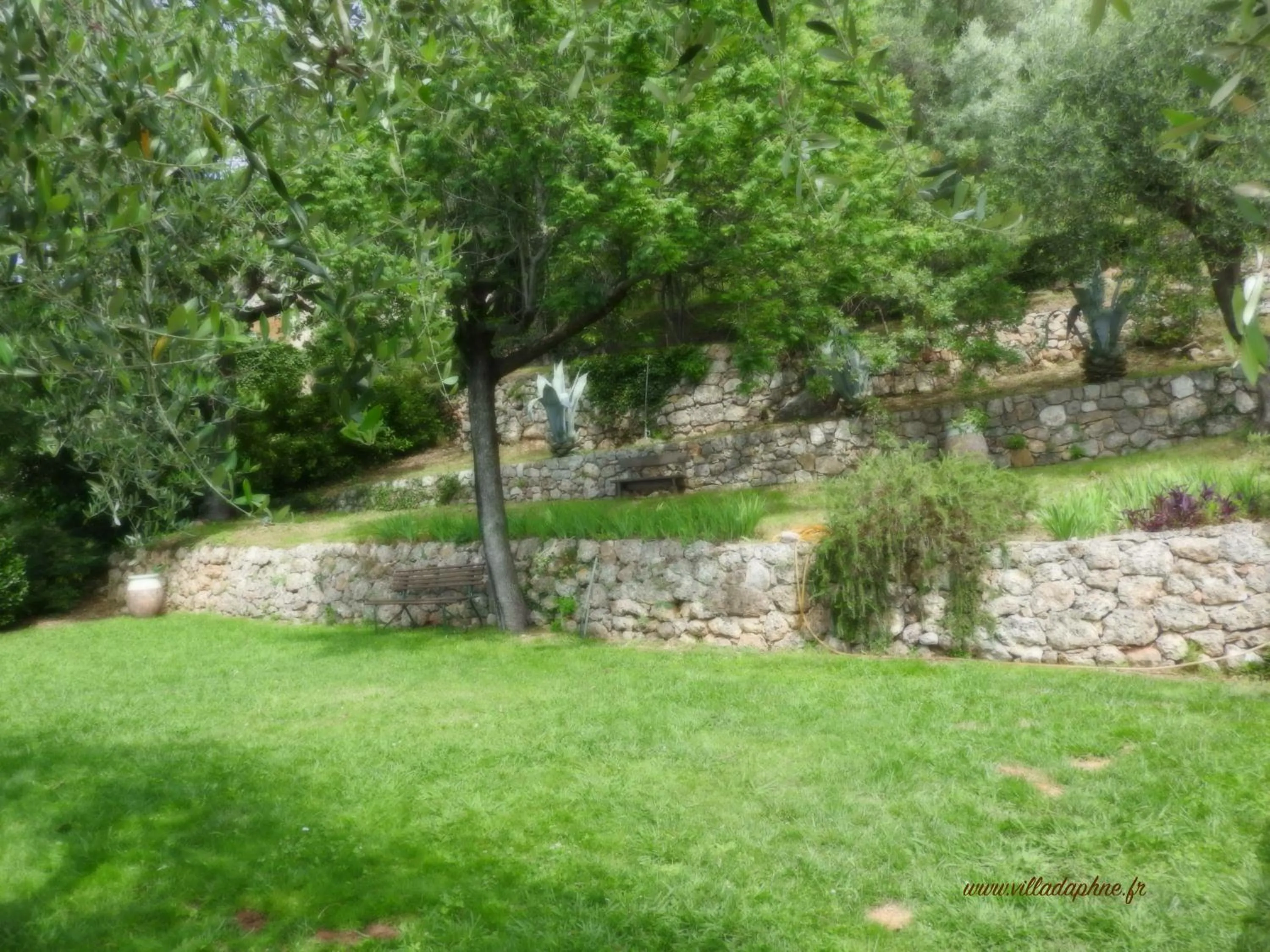 Garden in Villa Daphné