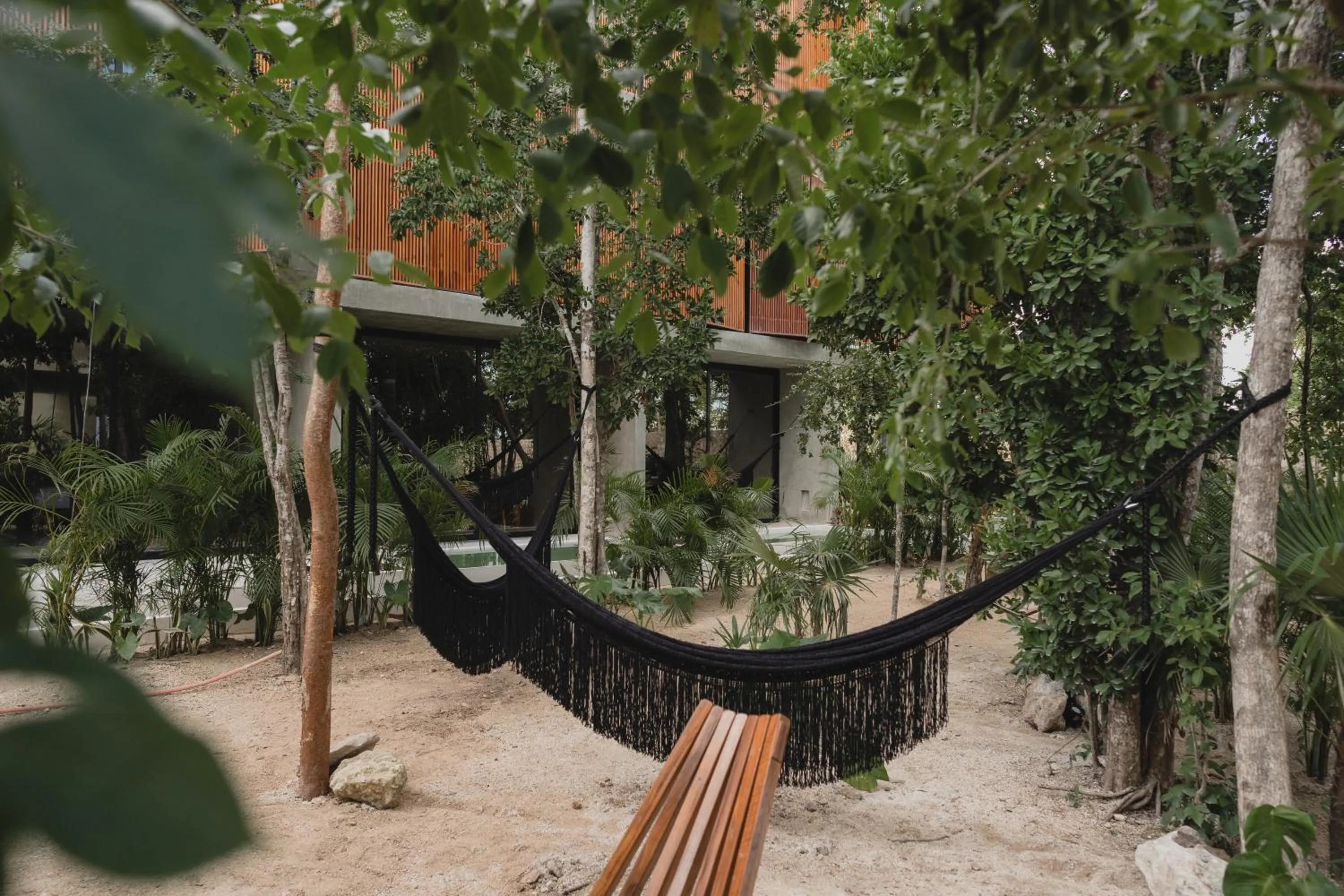 Garden in Seremonia Studios by Soyrumi