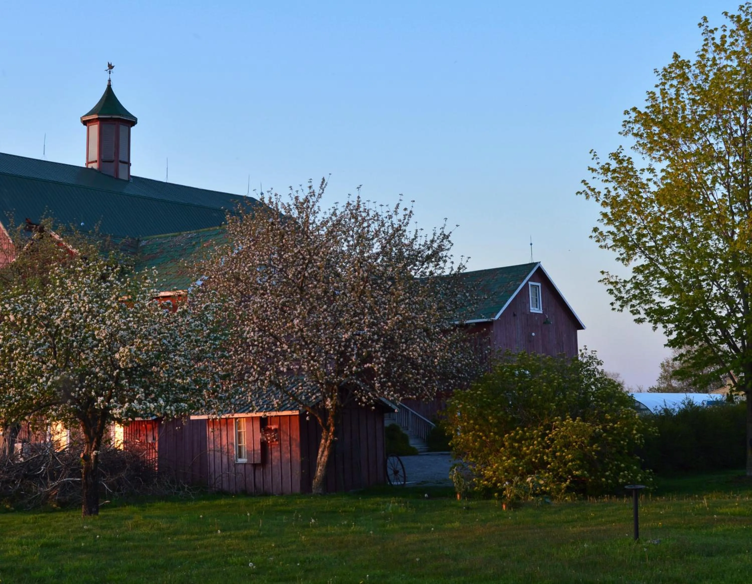 Property building in The Eddie Hotel and Farm