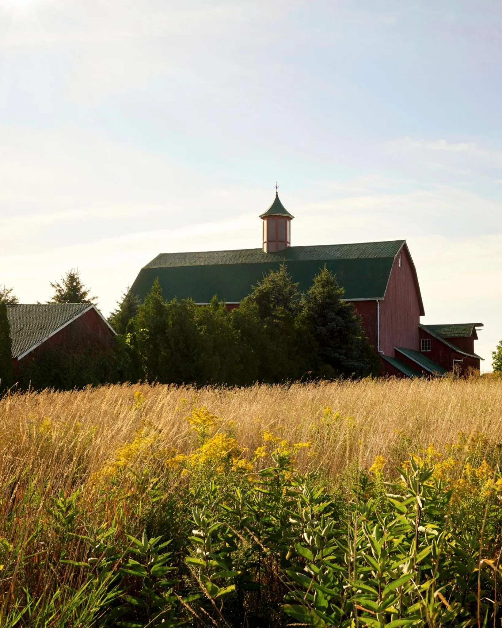Property building in The Eddie Hotel and Farm