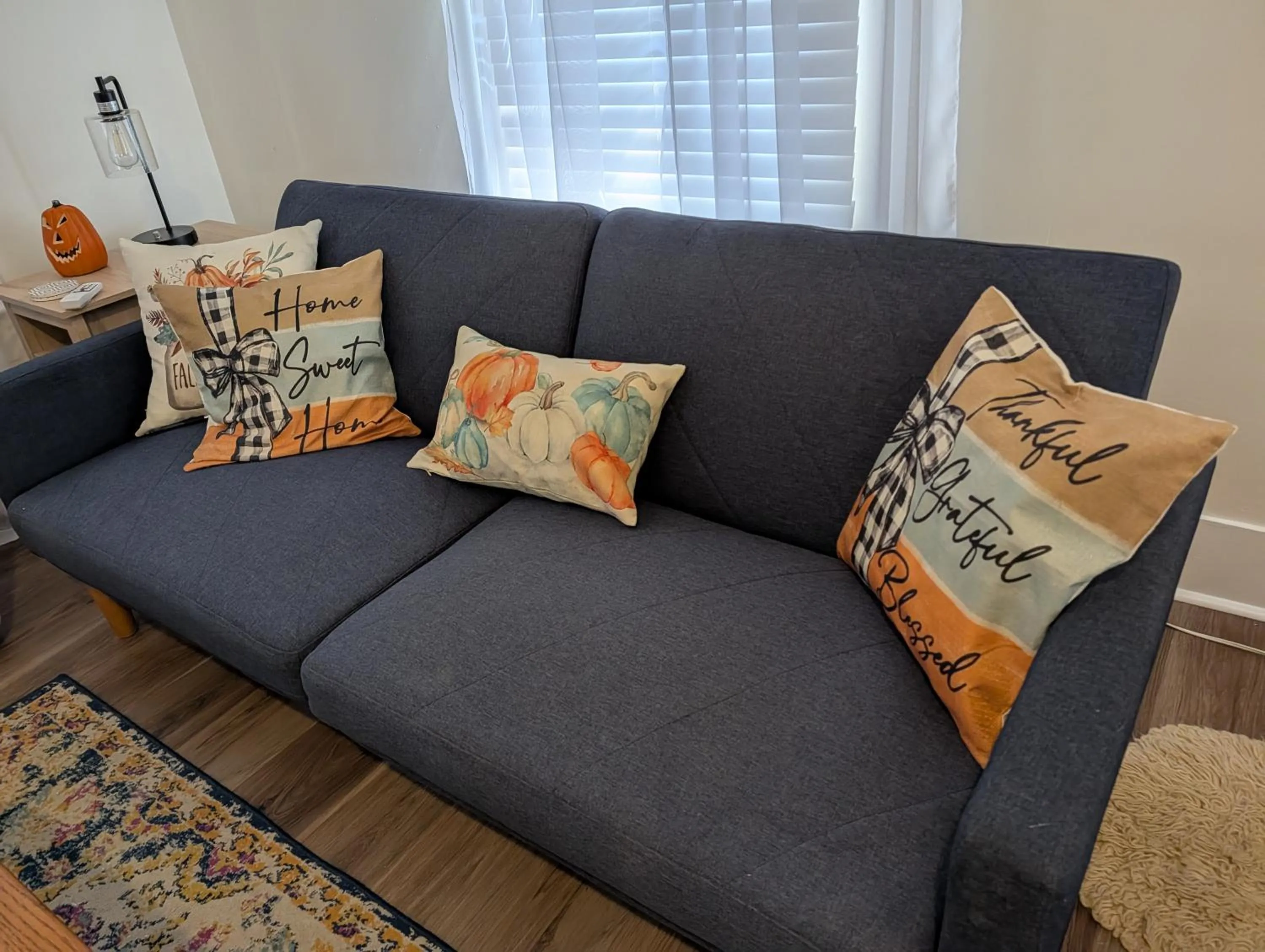 Living room in Cozy, Cute, Private Ozark Suite 5 Mins to Hospital