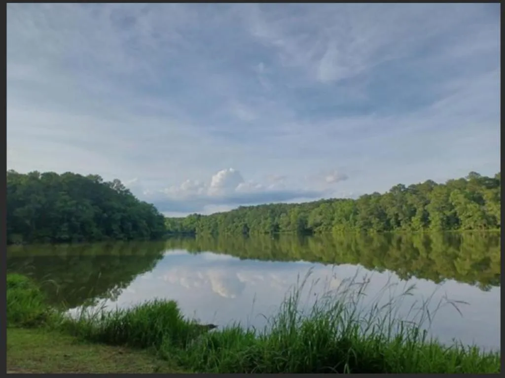 Off site in Cozy, Cute, Private Ozark Suite 5 Mins to Hospital