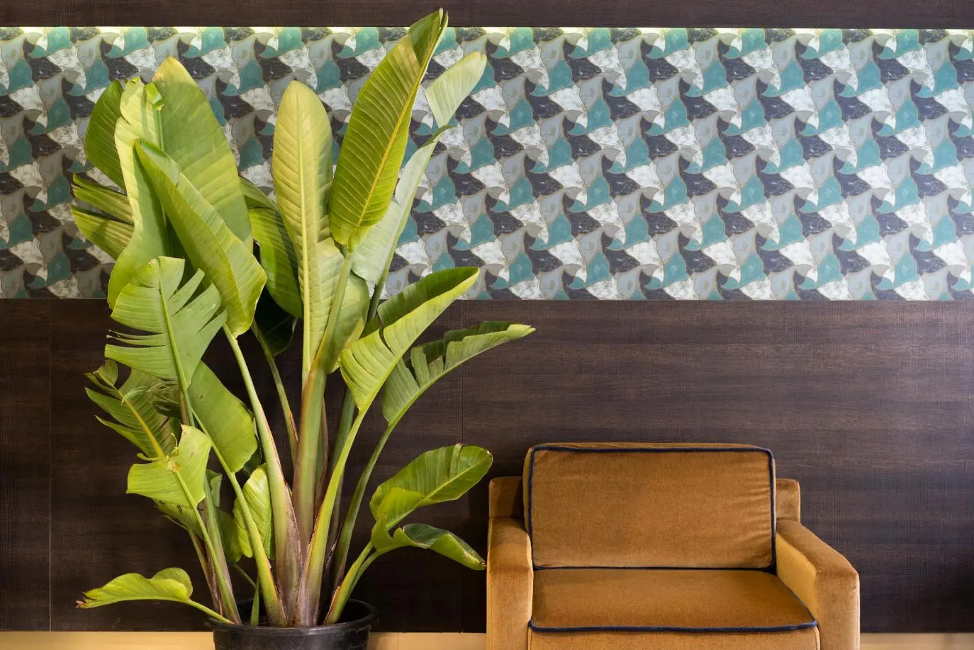 Lobby or reception in Hotel American-Dinesen Lobby or reception in Hotel American-Dinesen