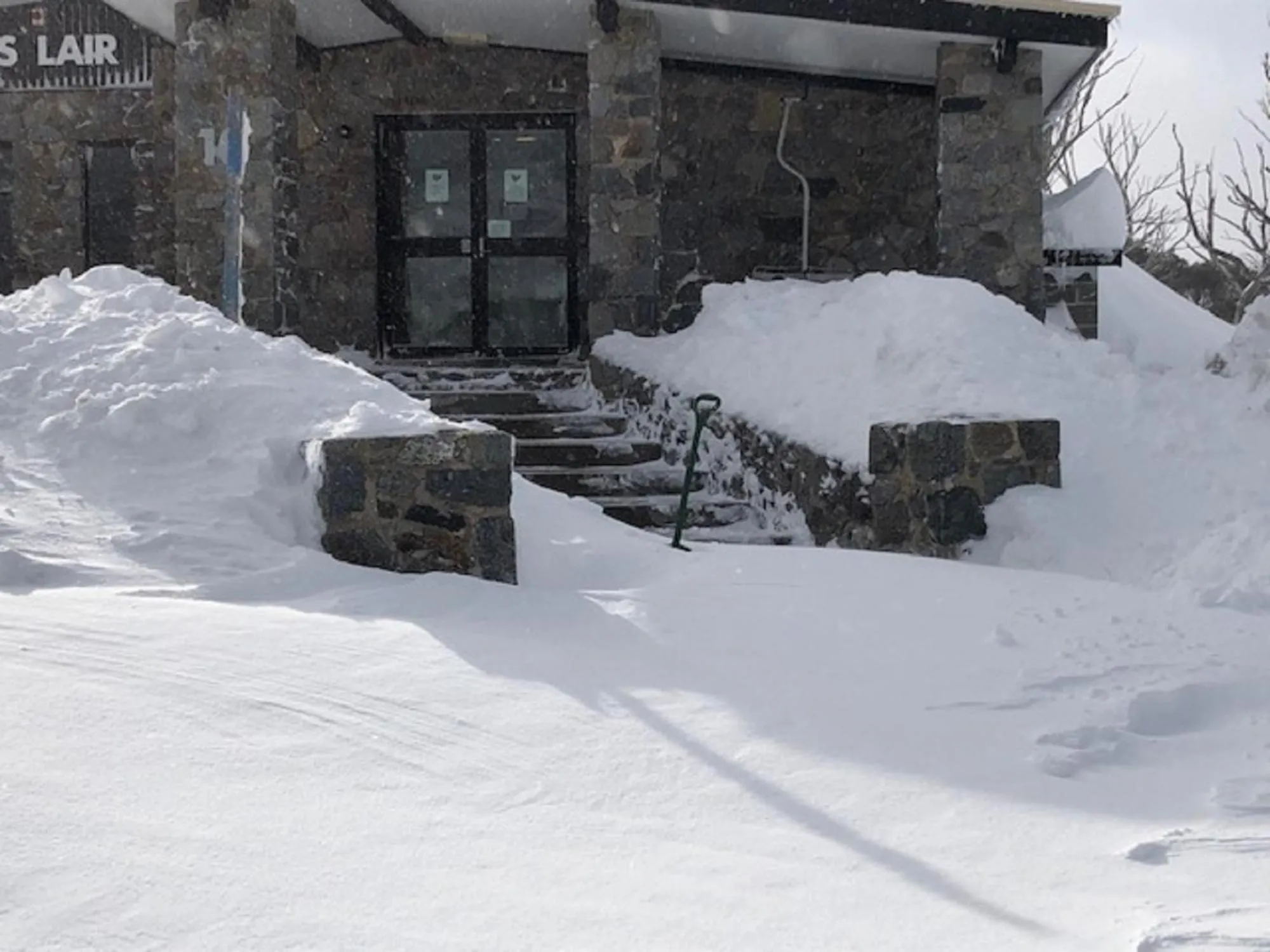 The Lions Lair Lodge