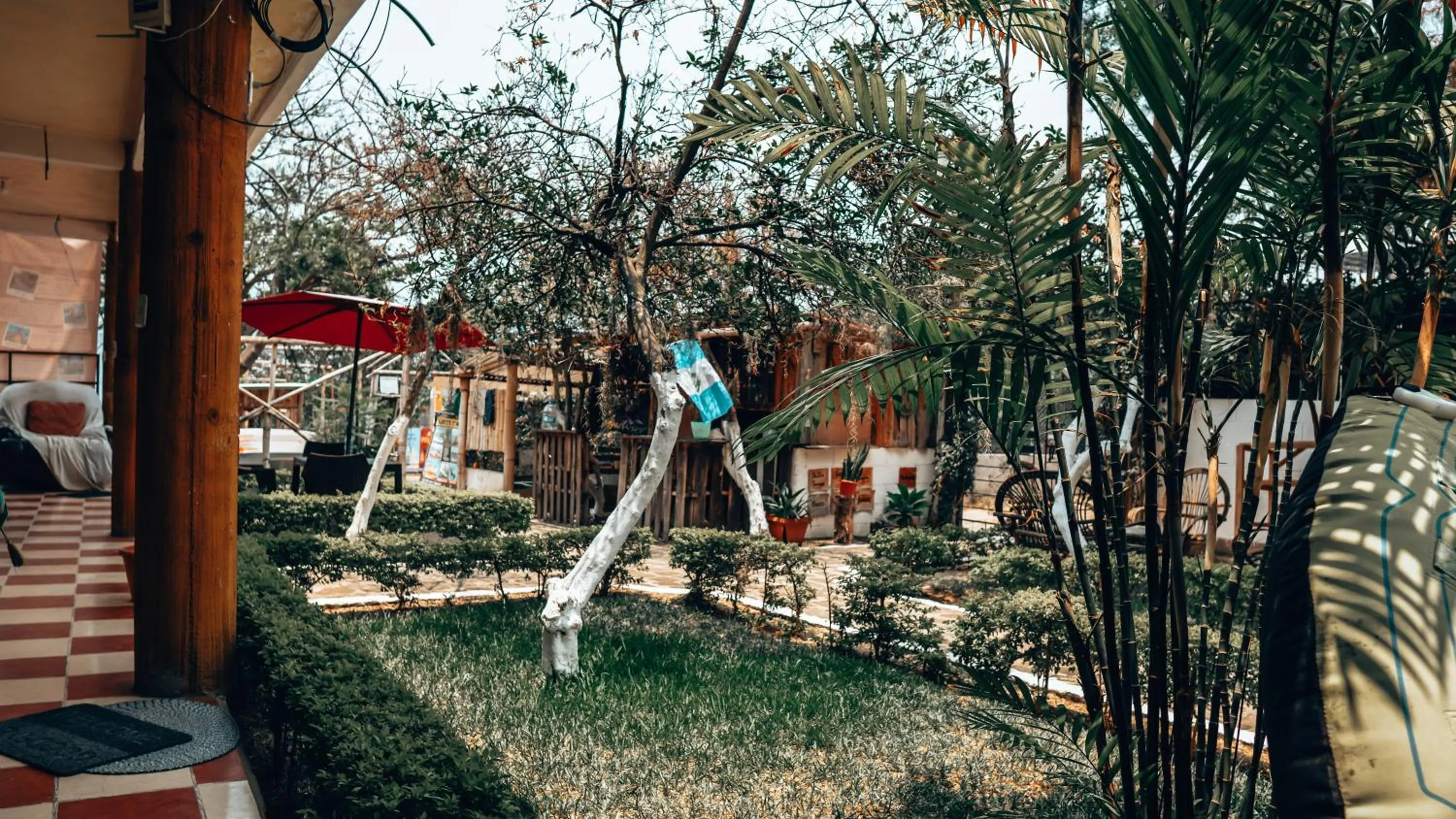 Garden in Complejo Don Pascual