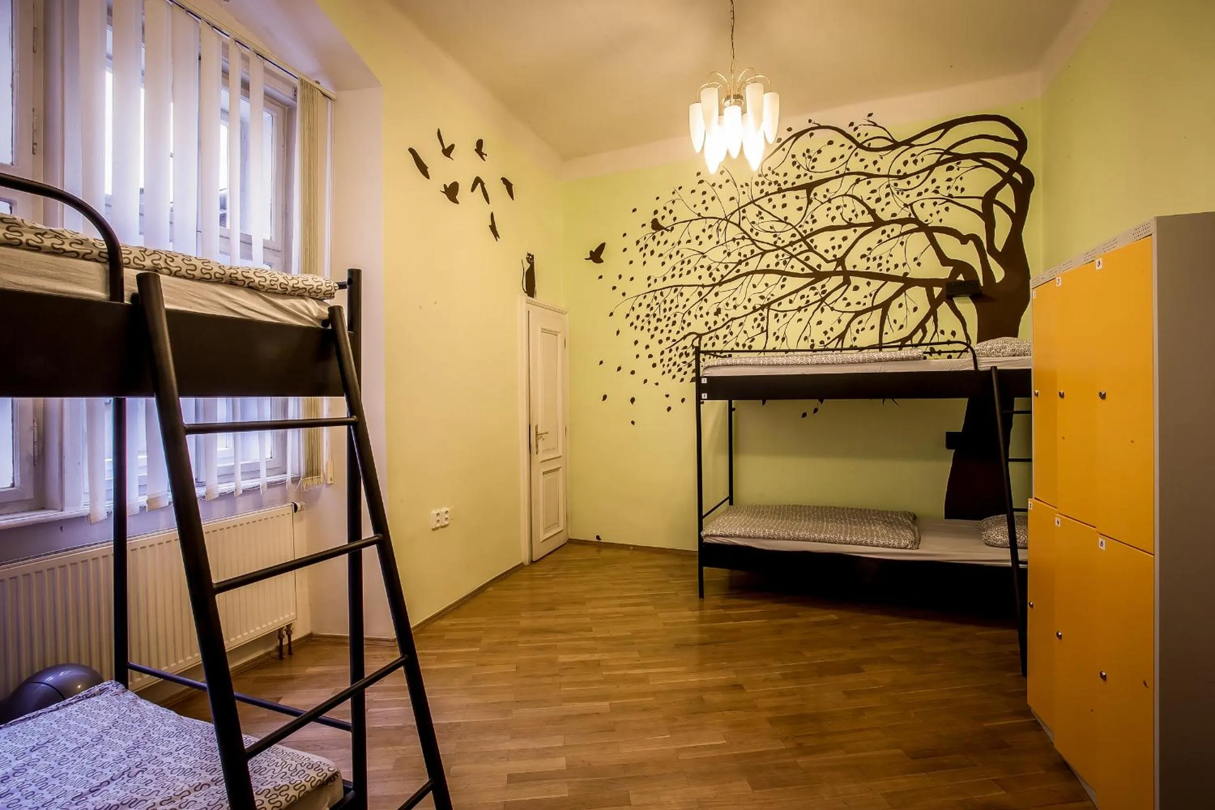 Photo of the whole room, Bed in Ahoy! Hostel