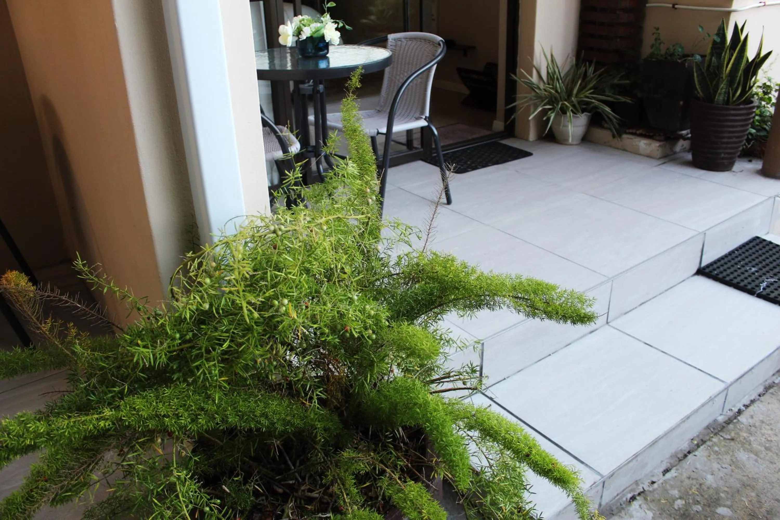 Patio in Bhotani-on-Bax