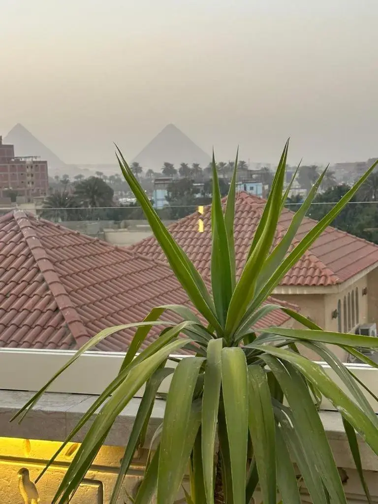 City view in Pyramids Oasis Hotel City view in Pyramids Oasis Hotel