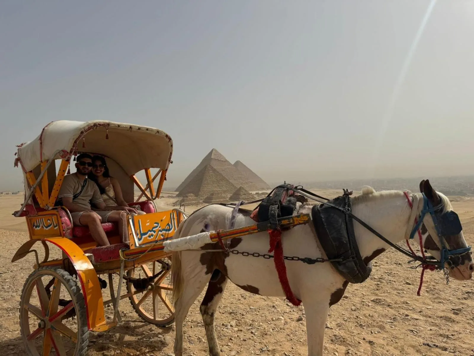 Horse-riding in Pyramids Oasis Hotel