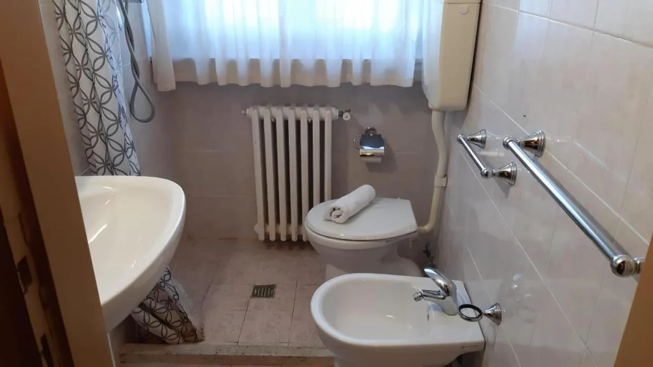 Toilet in Hotel Pinguino