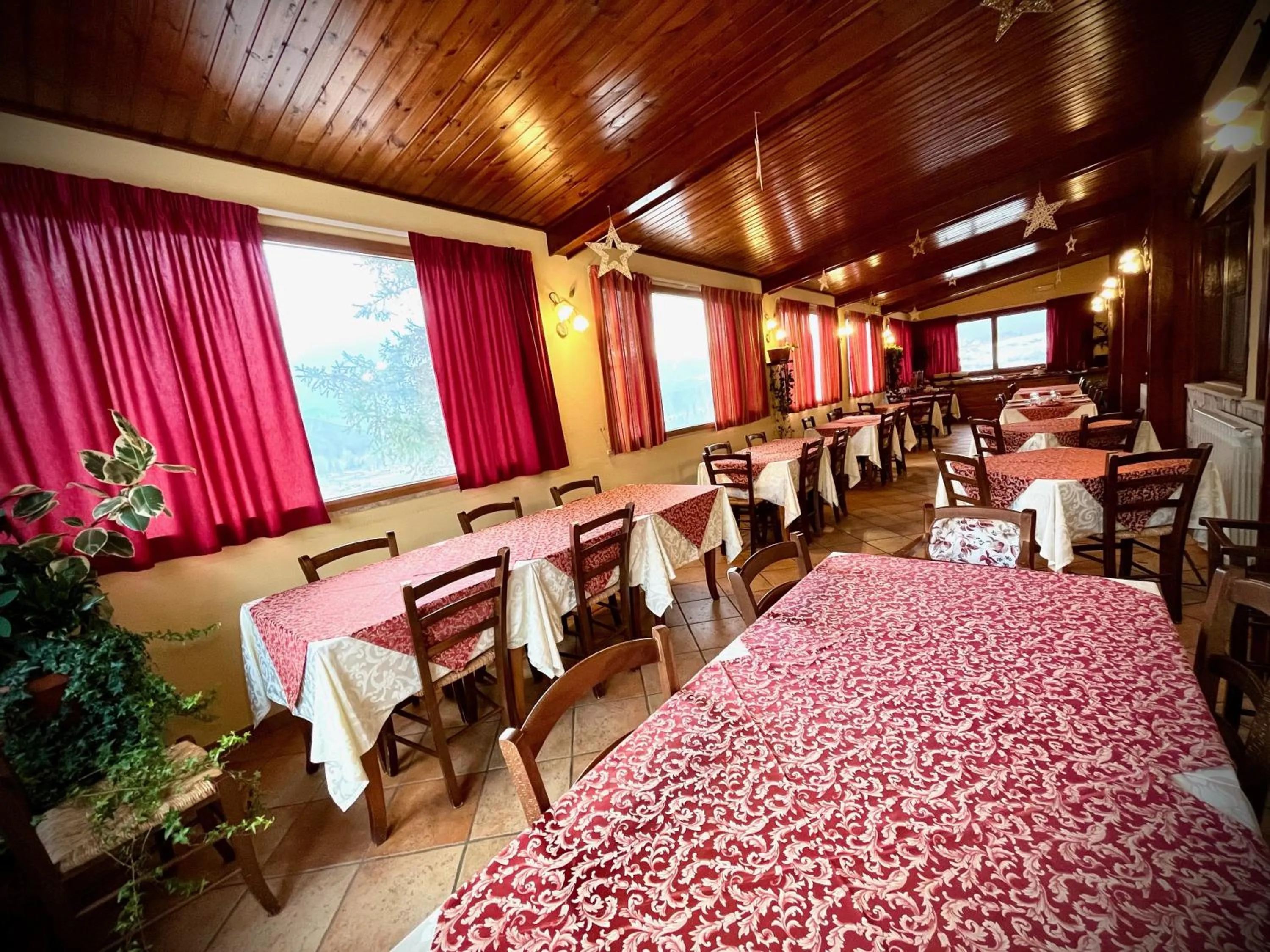 Restaurant/places to eat in Hotel Pinguino