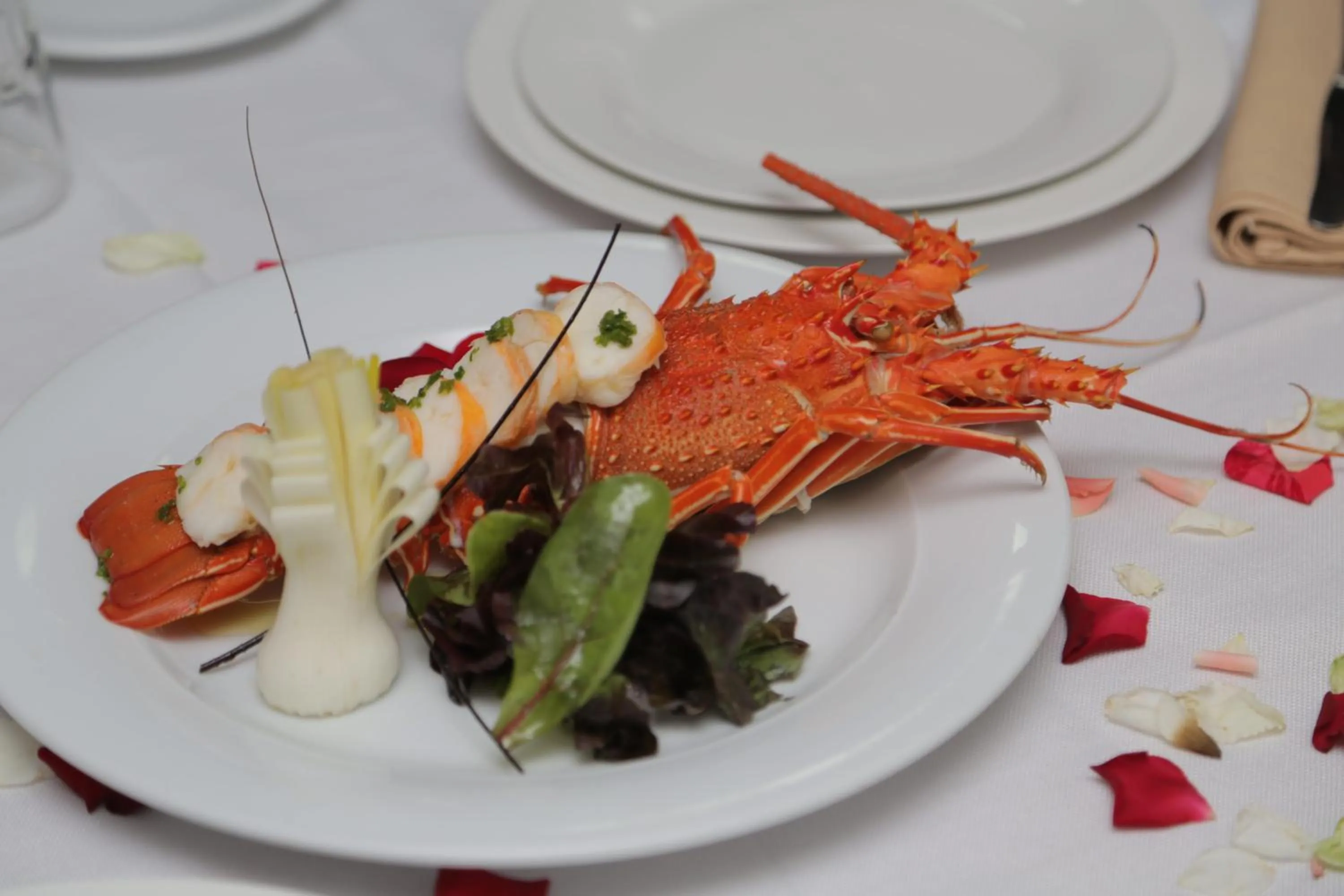 Restaurant/places to eat in Hotel Al Walid