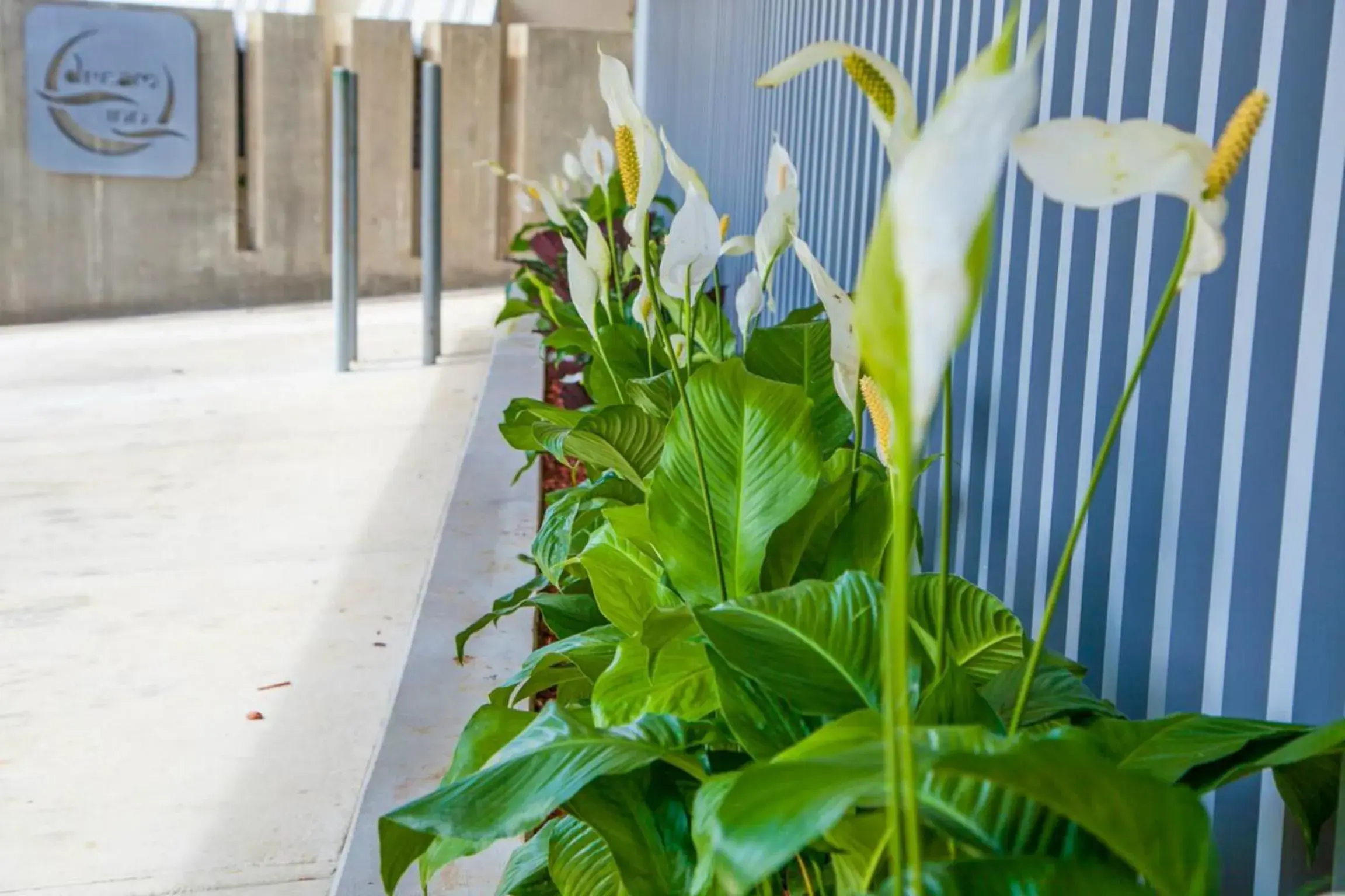 Property building in Dream Inn PR Property building in Dream Inn PR