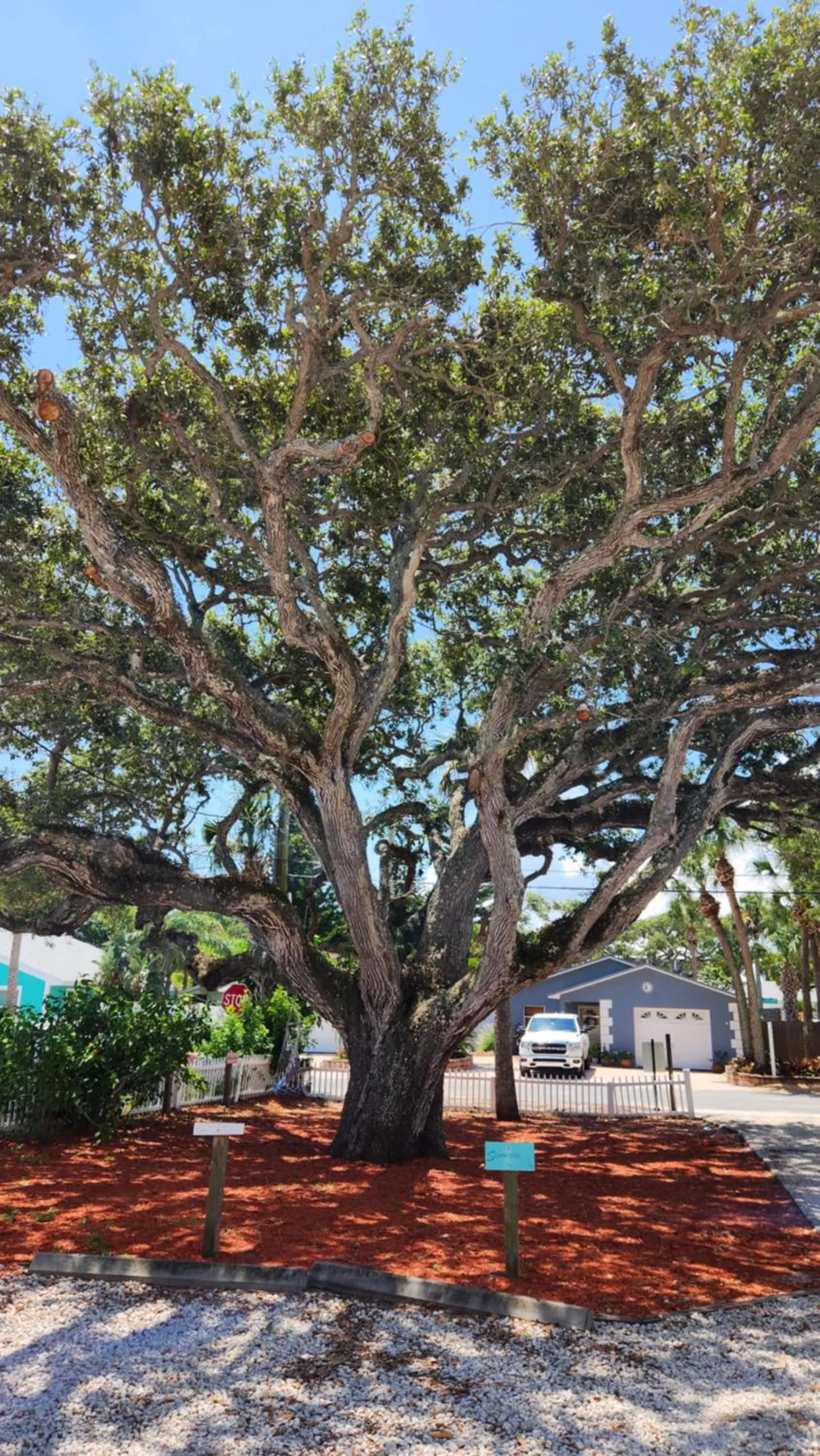 Patio in Inn on the Avenue
