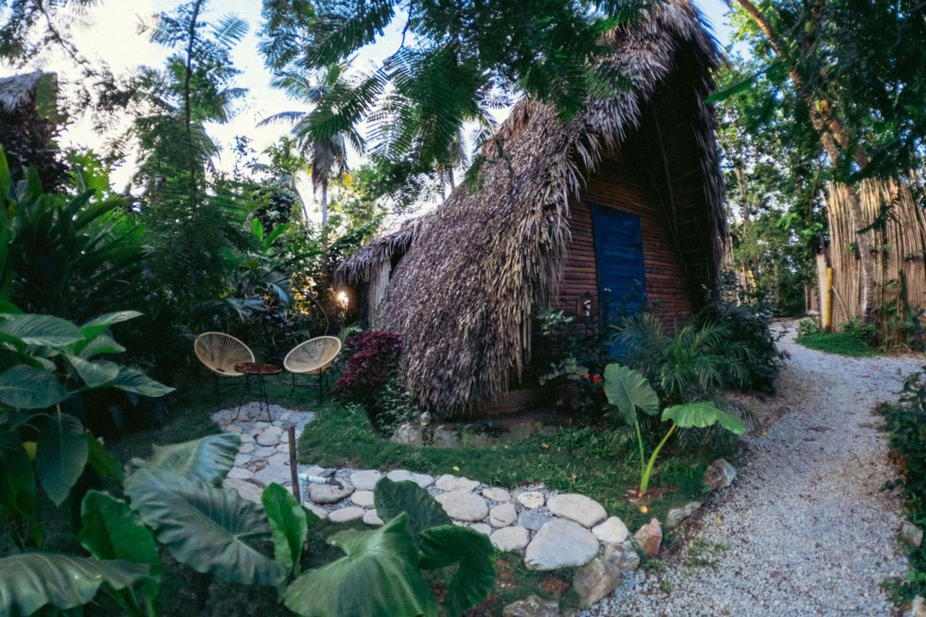 Off site in La Colmena RD