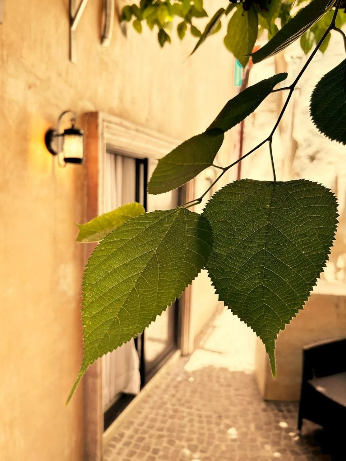 Bito's Hotel Boutique