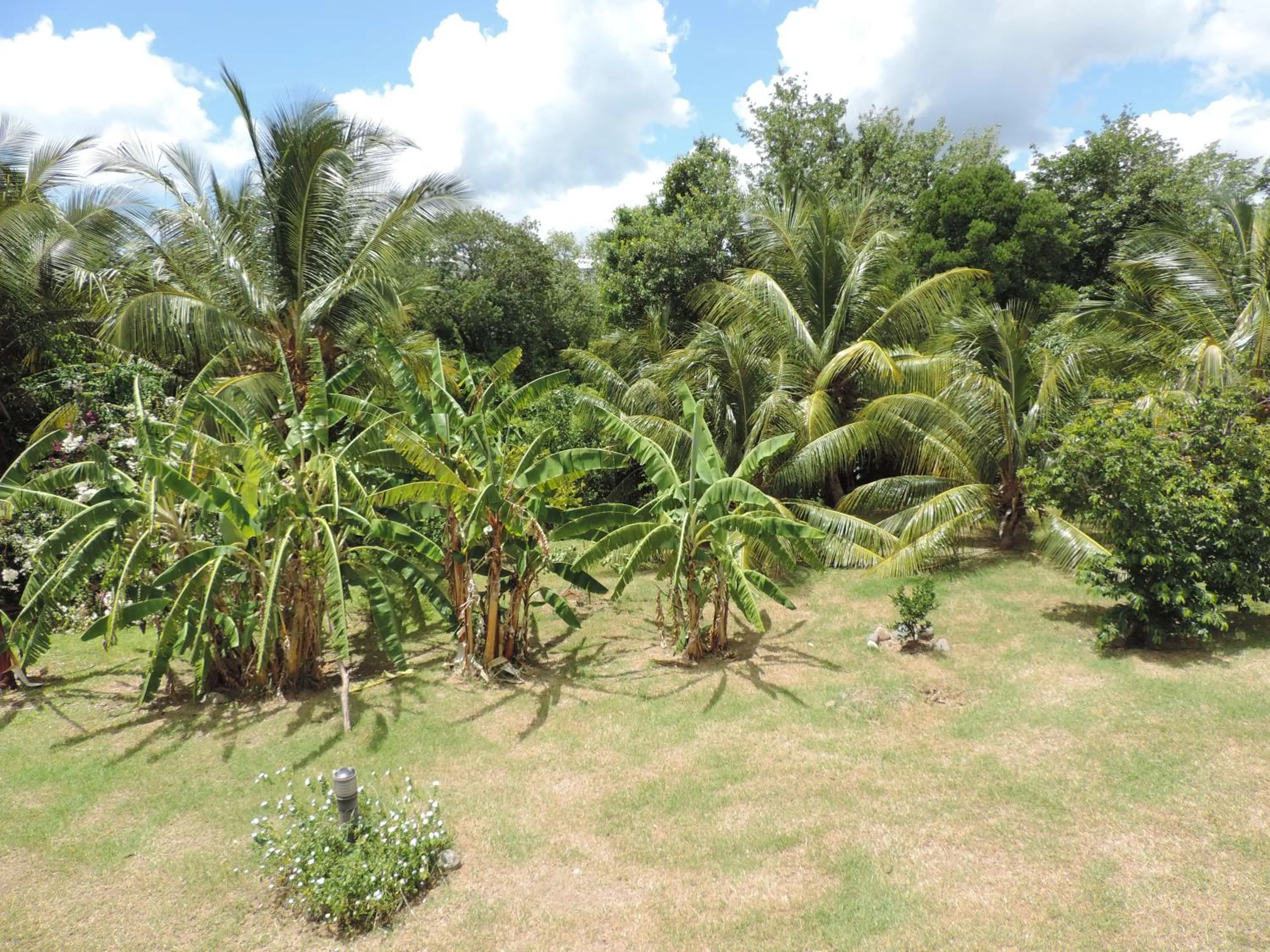 Garden in Residence Les Cayalines