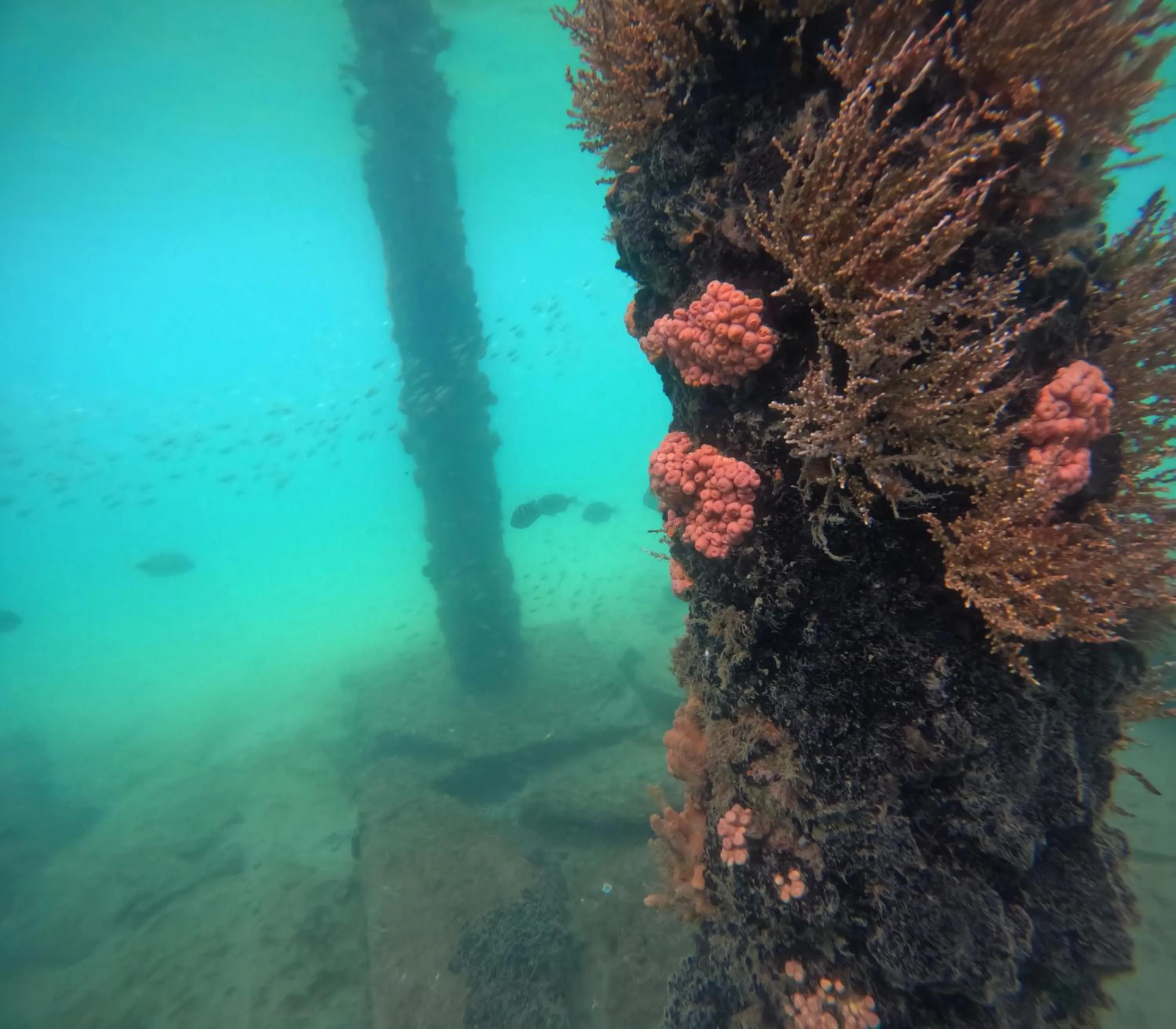 Natural landscape in Pousada Frezza Mergulho