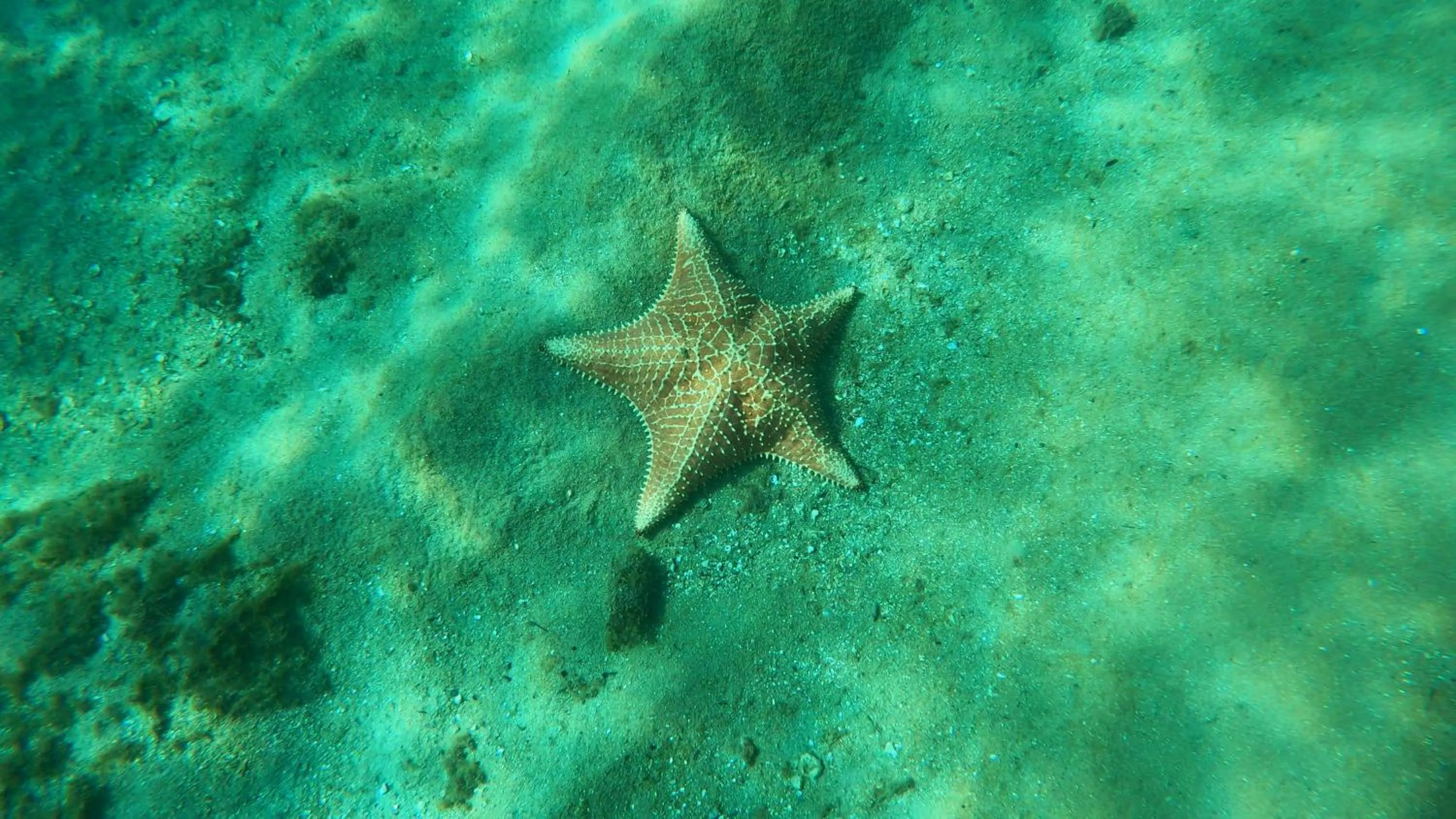 Sea view in Pousada Frezza Mergulho