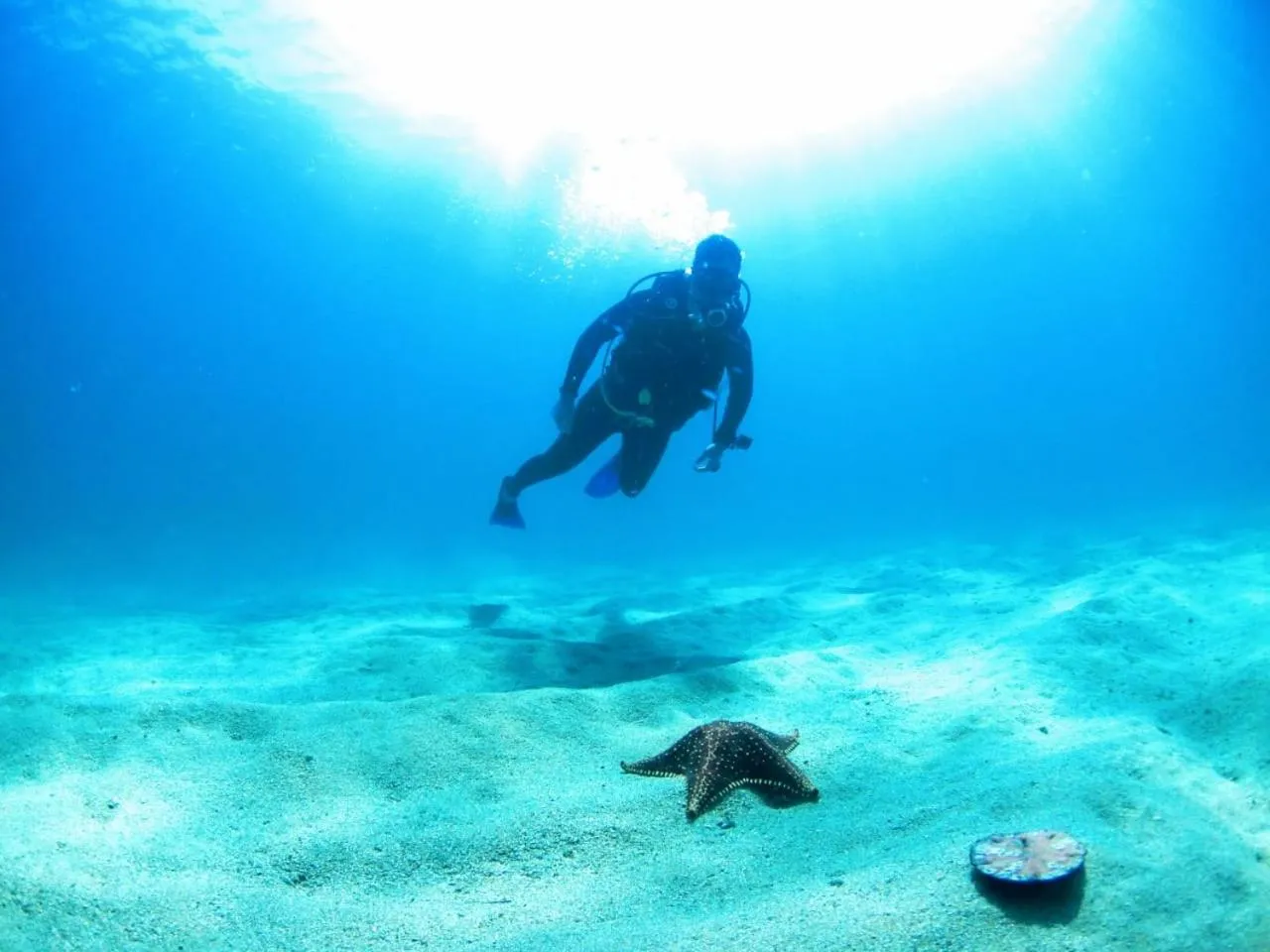 Activities in Pousada Frezza Mergulho