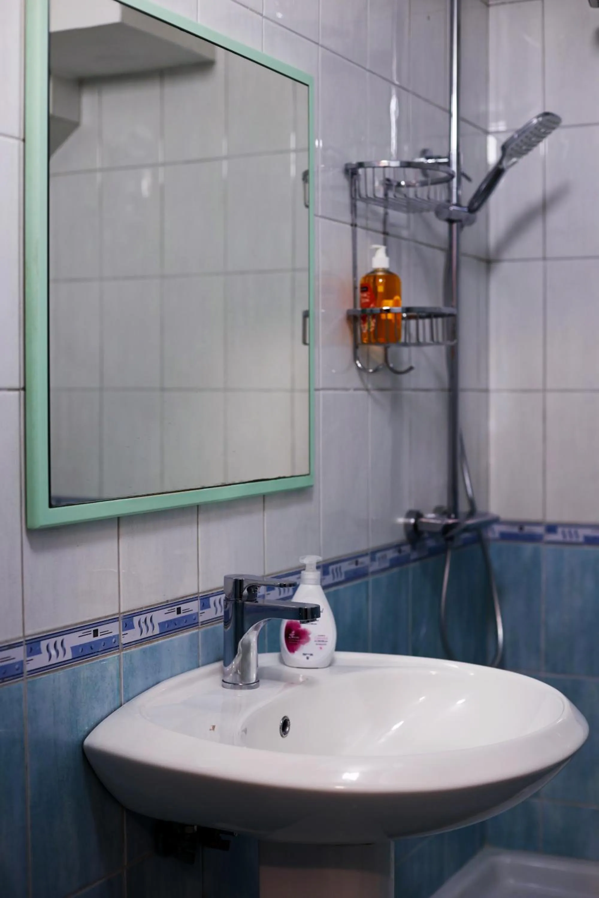 Shower in Atomium apartments
