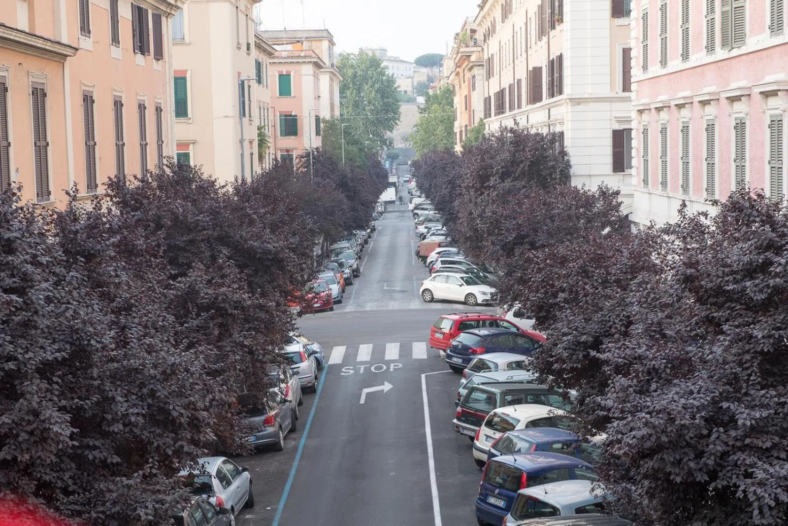 Restaurant/places to eat in Quality Hotel Nova Domus