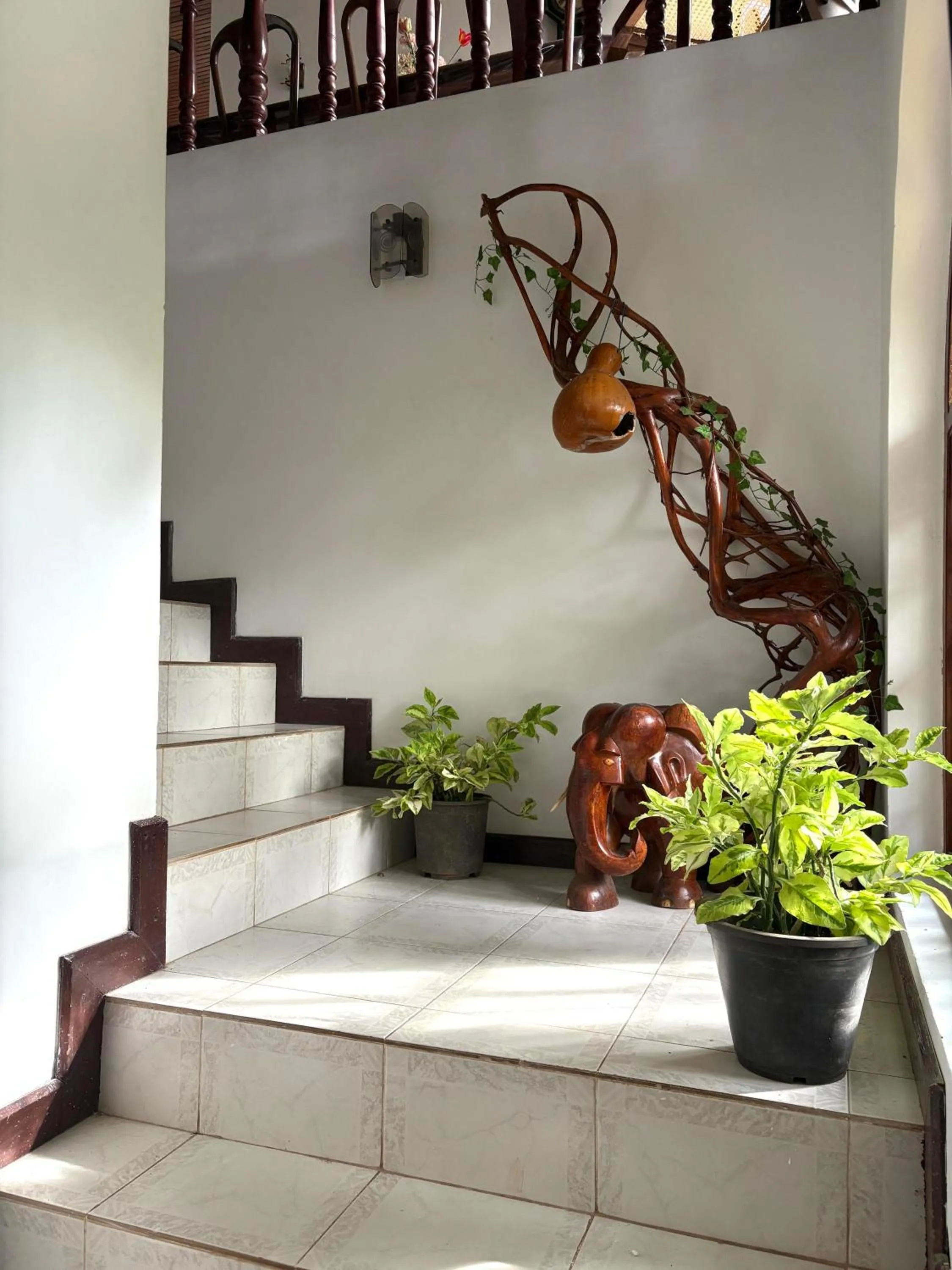 Property building in Chaya Villa Guest House