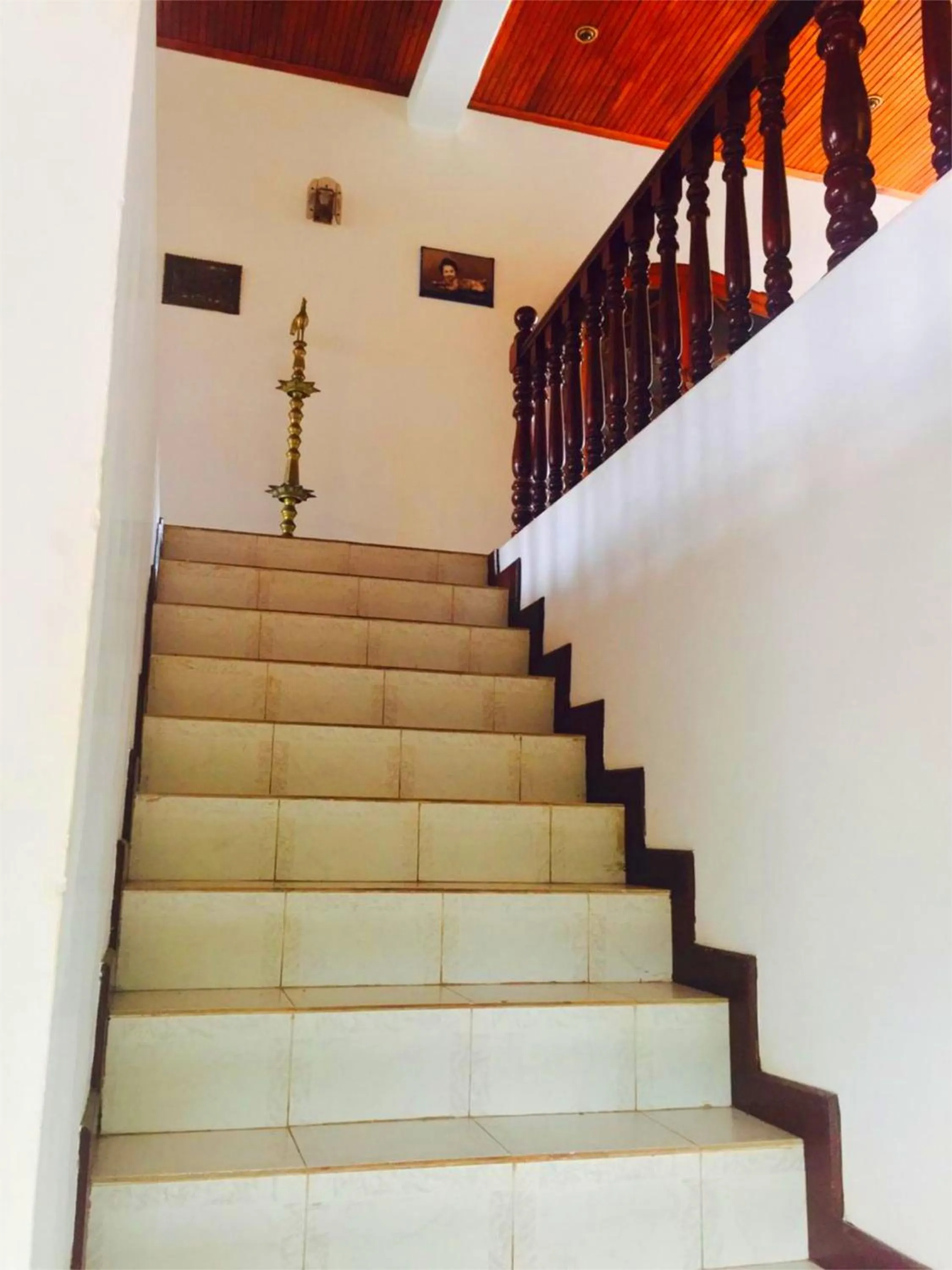 Area and facilities in Chaya Villa Guest House