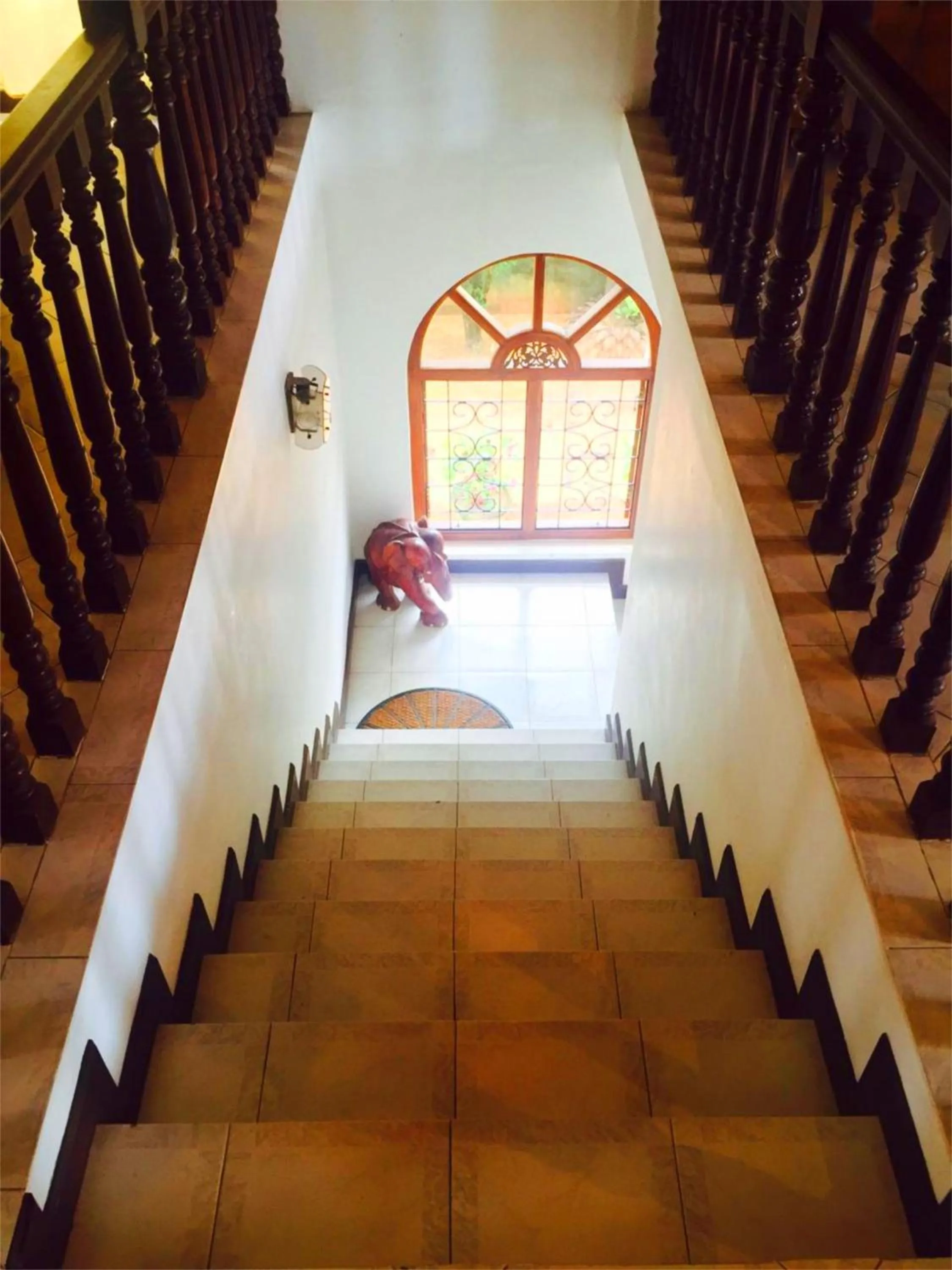 Area and facilities in Chaya Villa Guest House