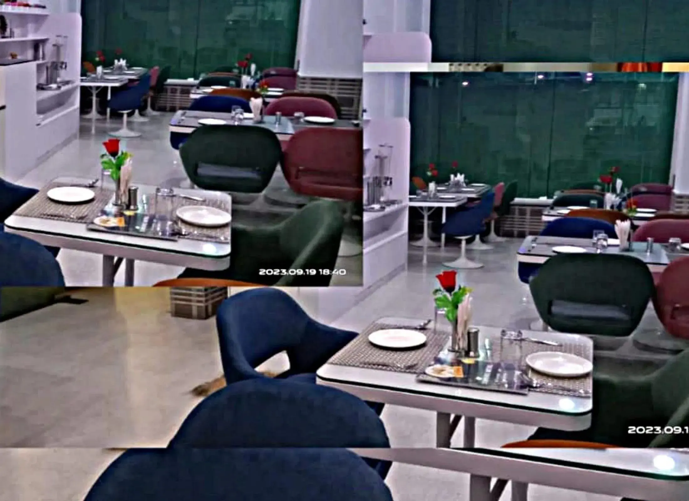 Restaurant/places to eat in Hotel Omni Plaza Restaurant/places to eat in Hotel Omni Plaza