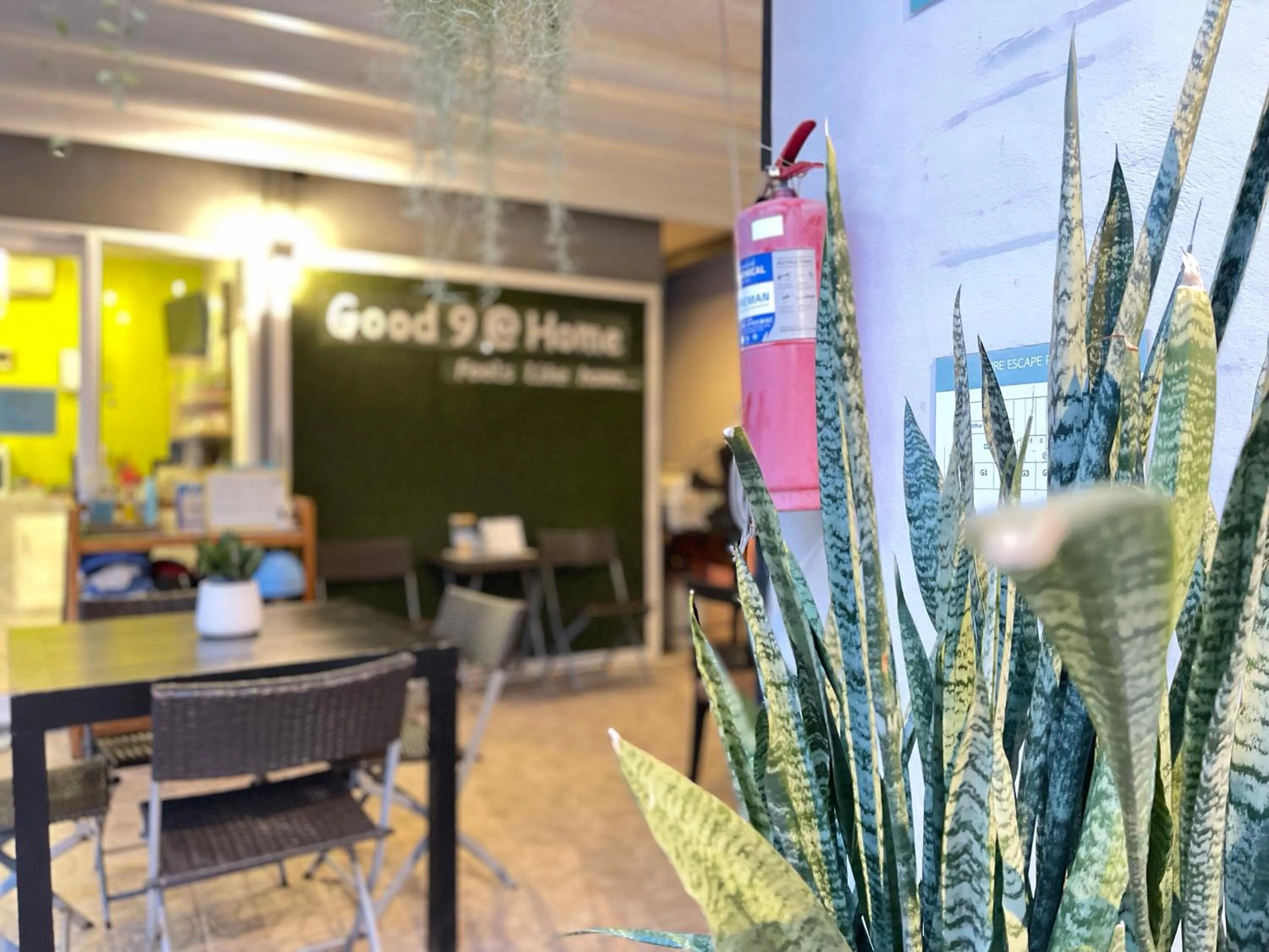 Property building in Good 9 at Home