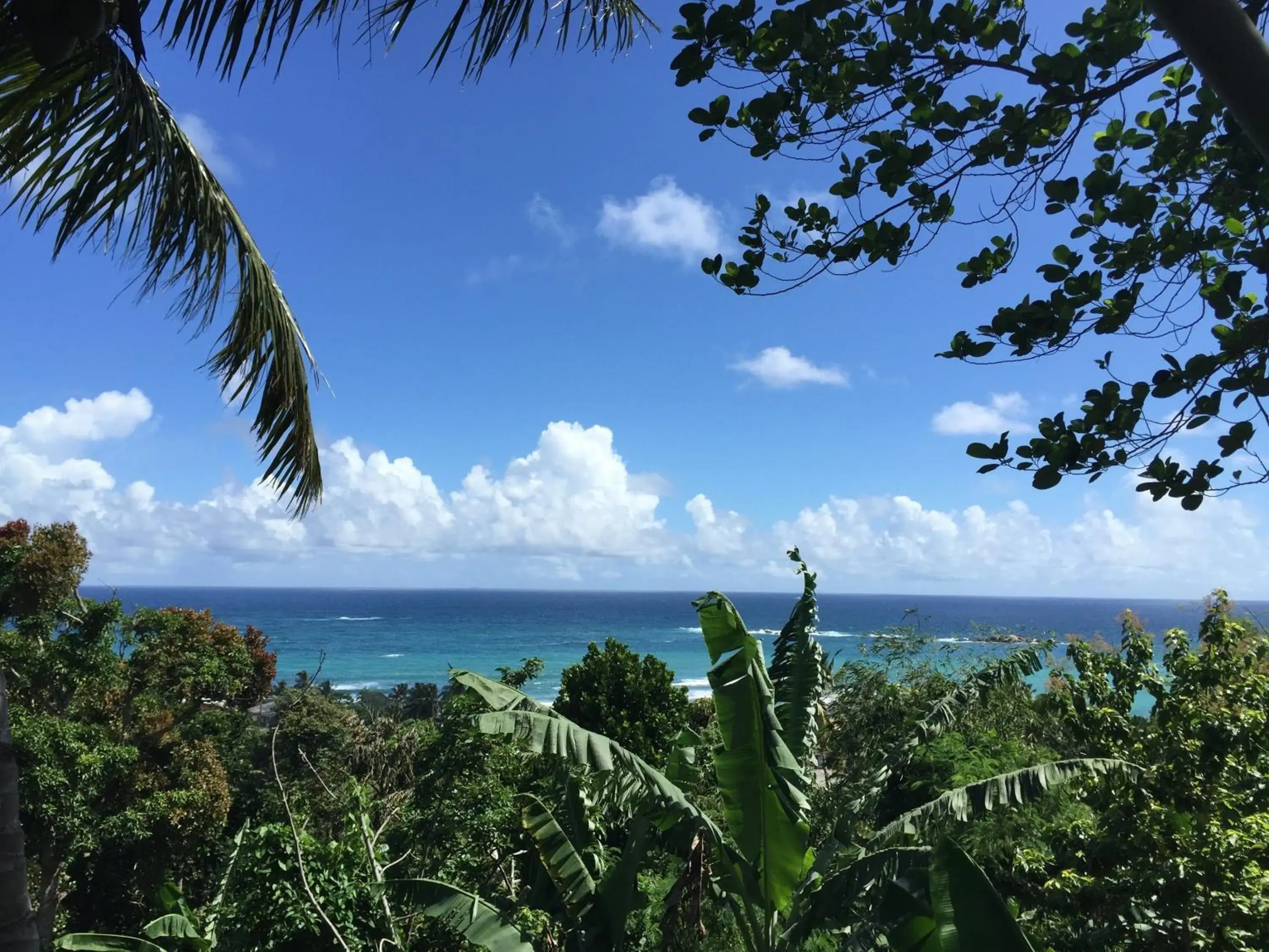 Deluxe Double Room with Sea View in Lara's place Deluxe Double Room with Sea View in Lara's place