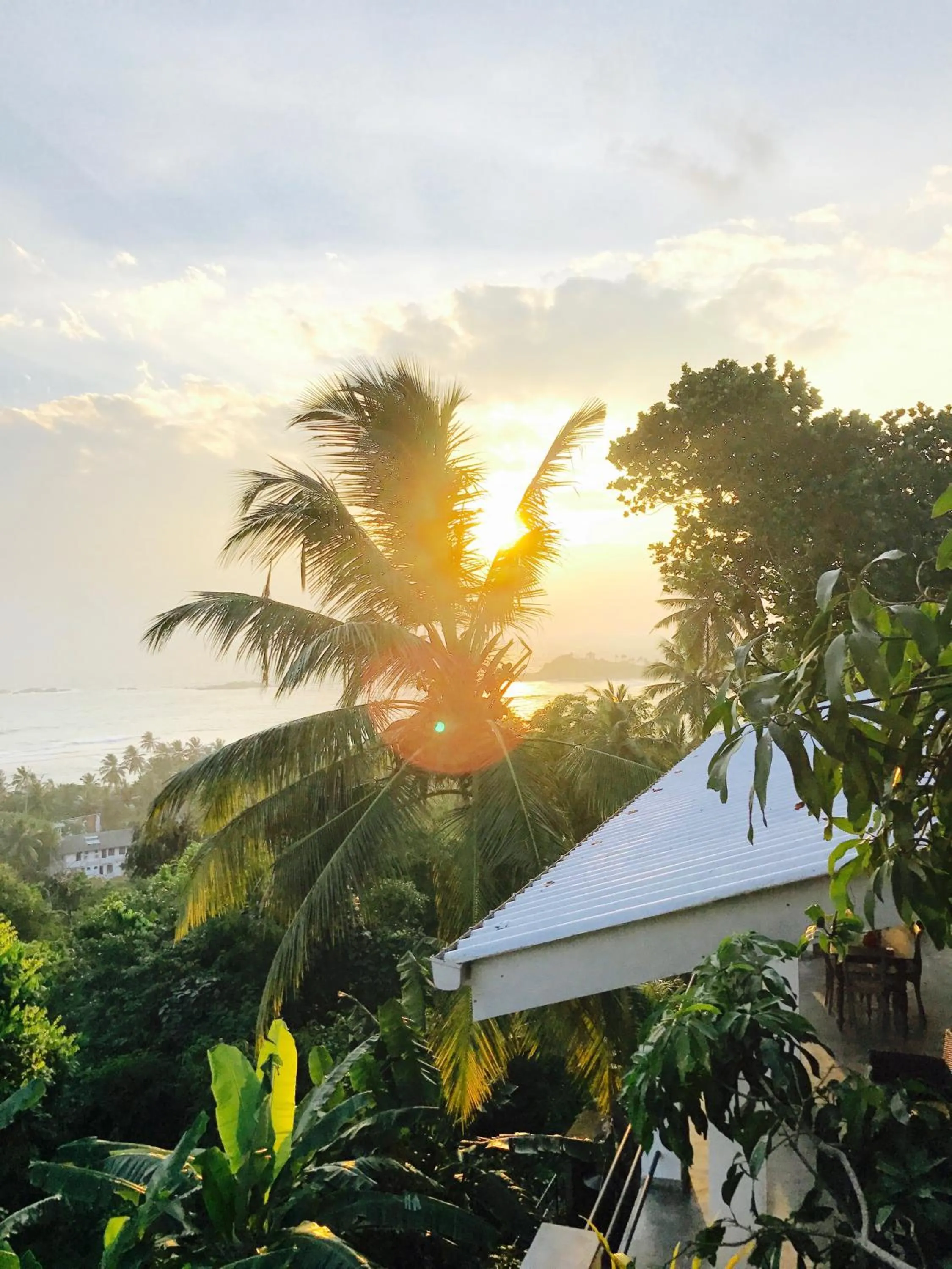 Bird's eye view in Lara's place