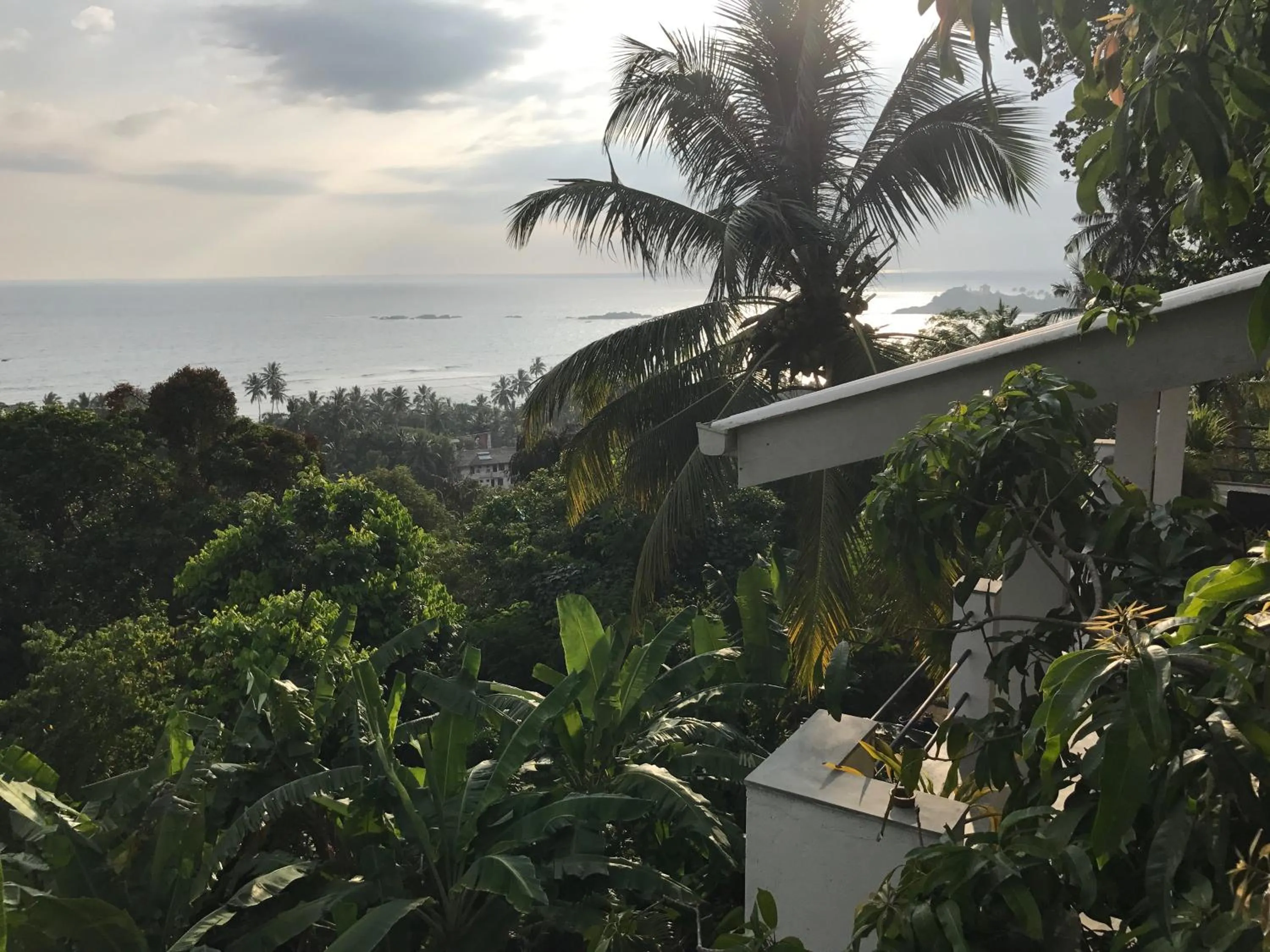 Bird's eye view in Lara's place