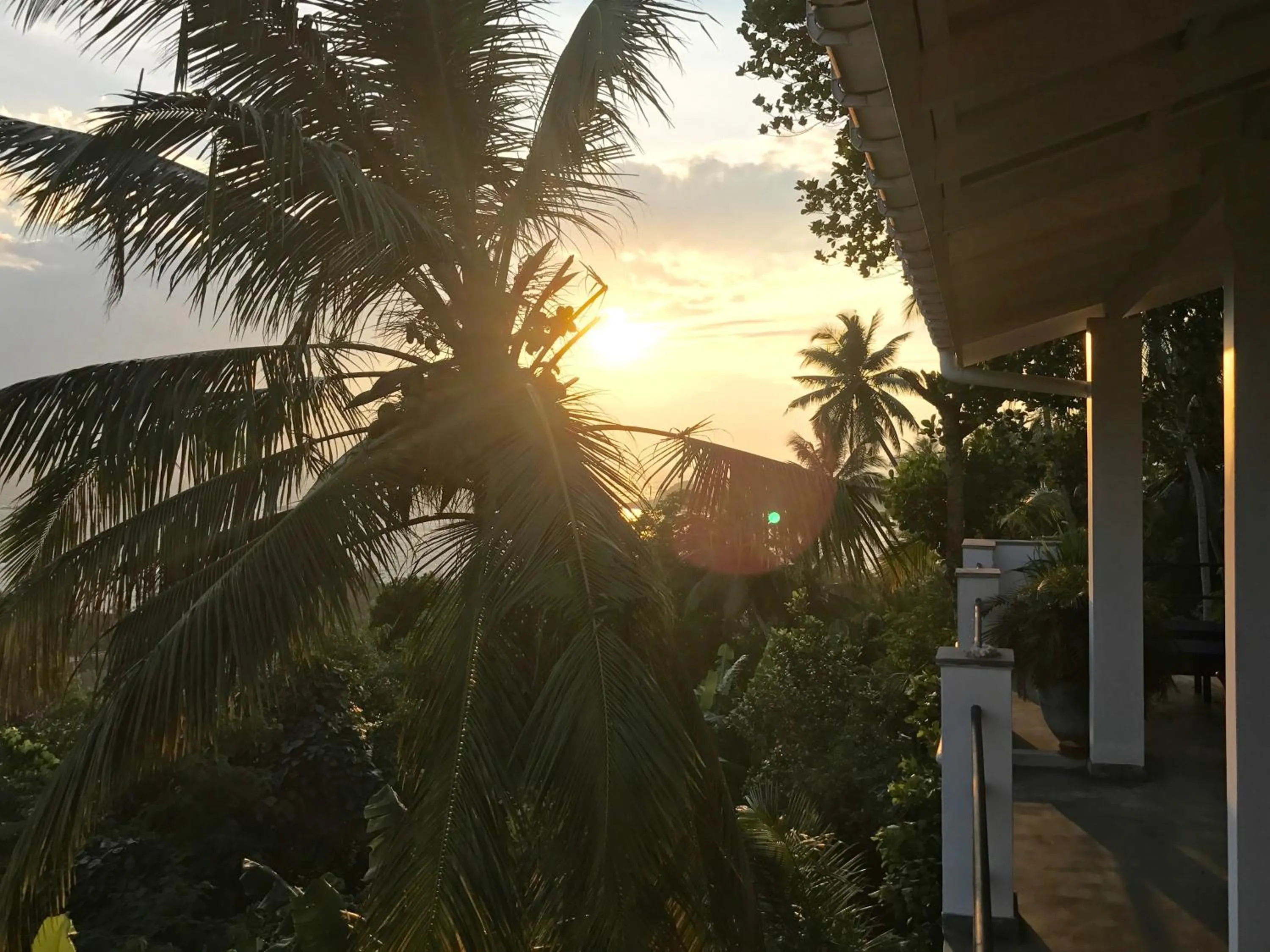 Sunset in Lara's place