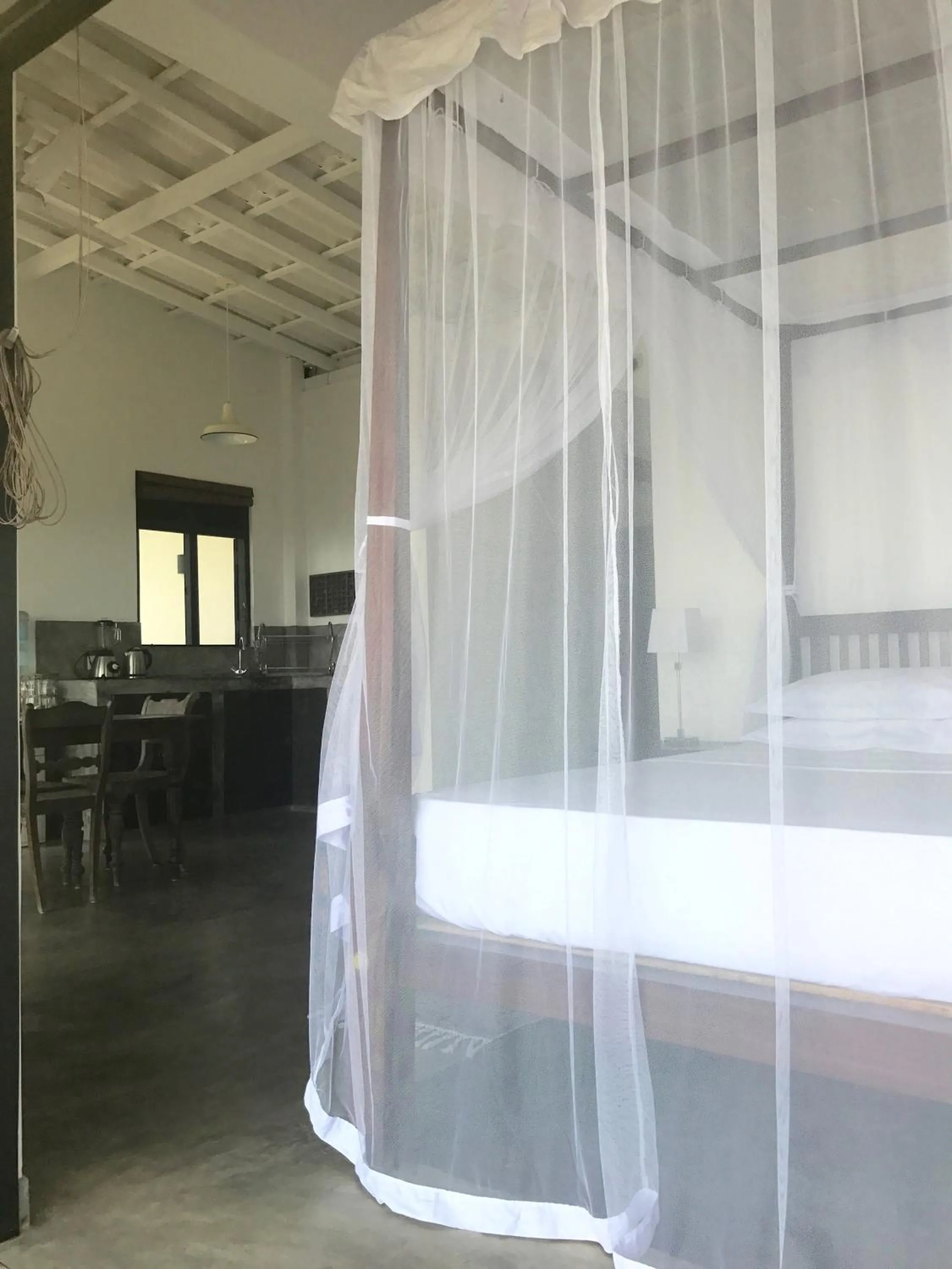 Photo of the whole room in Lara's place