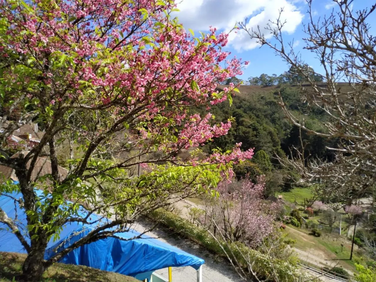 Natural landscape in Colônia SAA